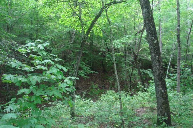 Sugartree Falls Tract 23 photo 5