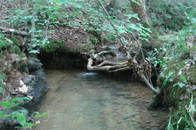 Sugartree Falls Tract 23 photo 7