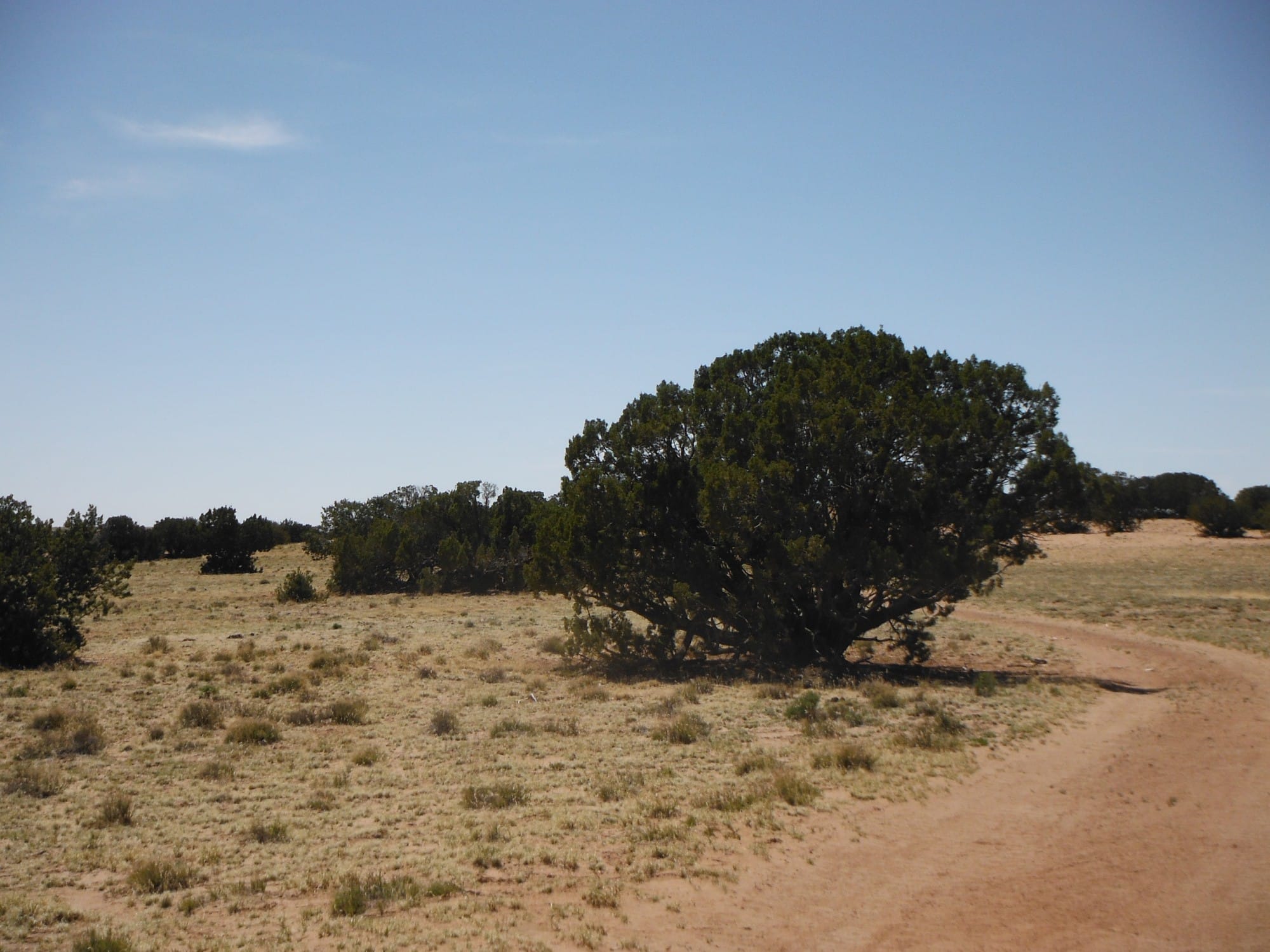 Navajo Ranch Tract 2 photo 3