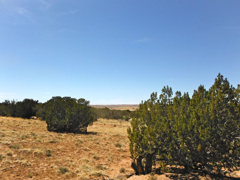 Navajo Ranch Tract 2 photo 5