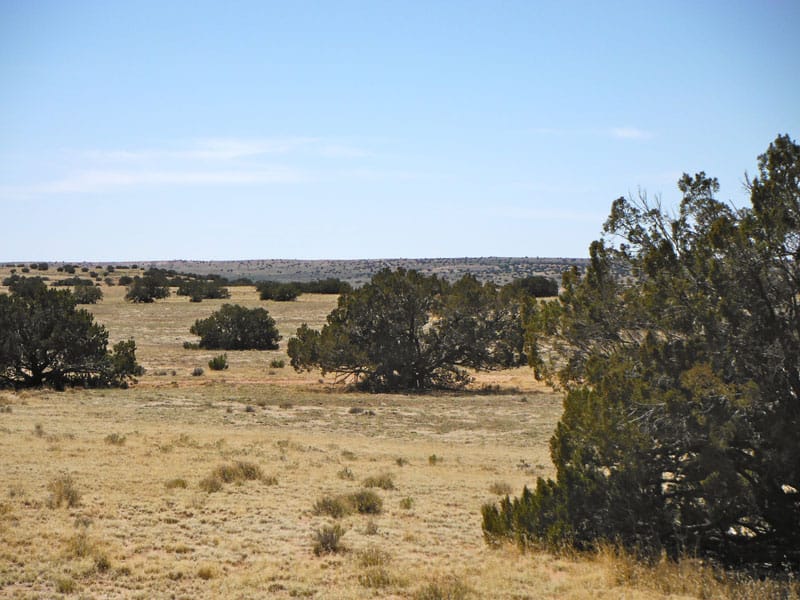 Navajo Ranch Tract 2 photo 7