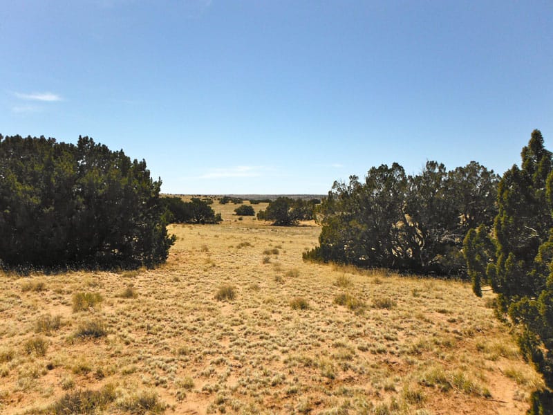 Navajo Ranch Tract 2 photo 8