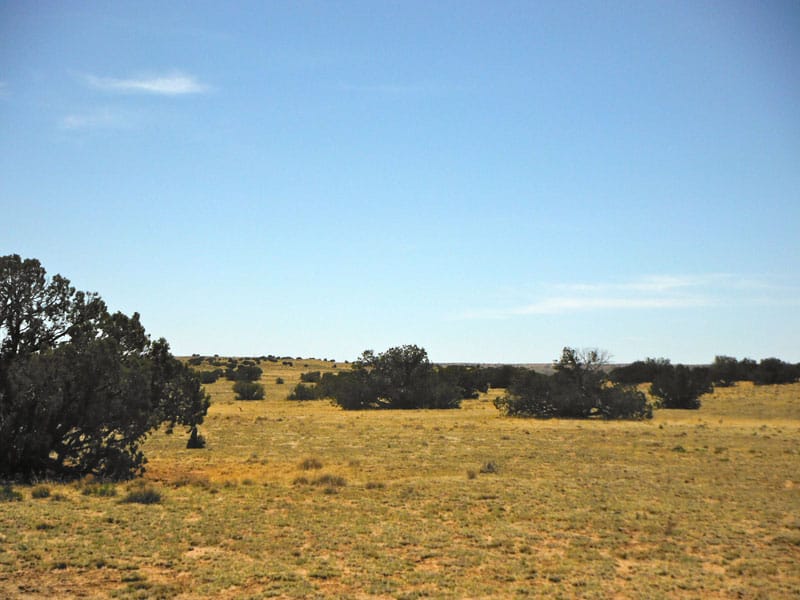 Navajo Ranch Tract 2 photo 9