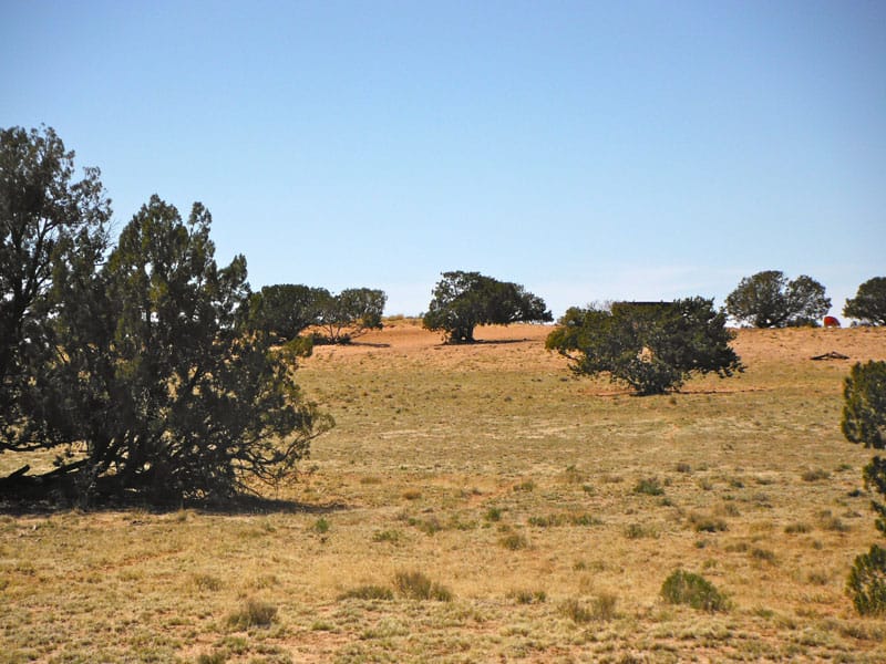 Navajo Ranch Tract 2 photo 10