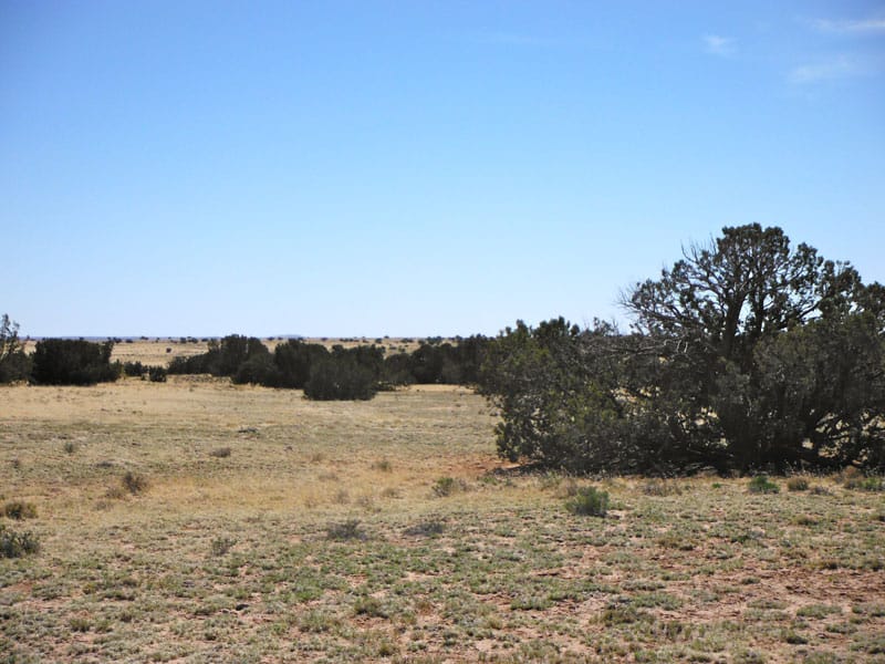 Navajo Ranch Tract 2 photo 12