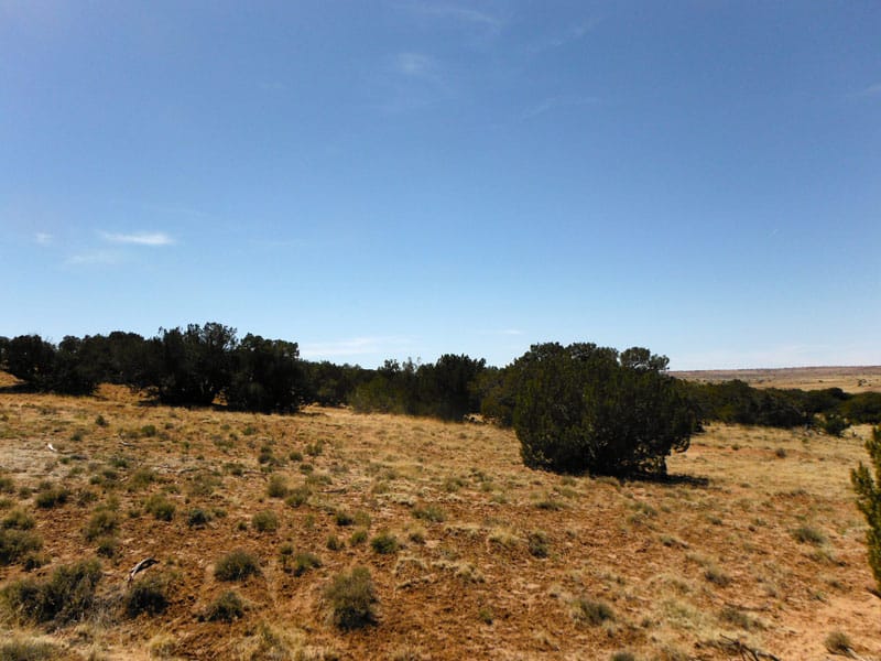 Navajo Ranch Tract 2 photo 13