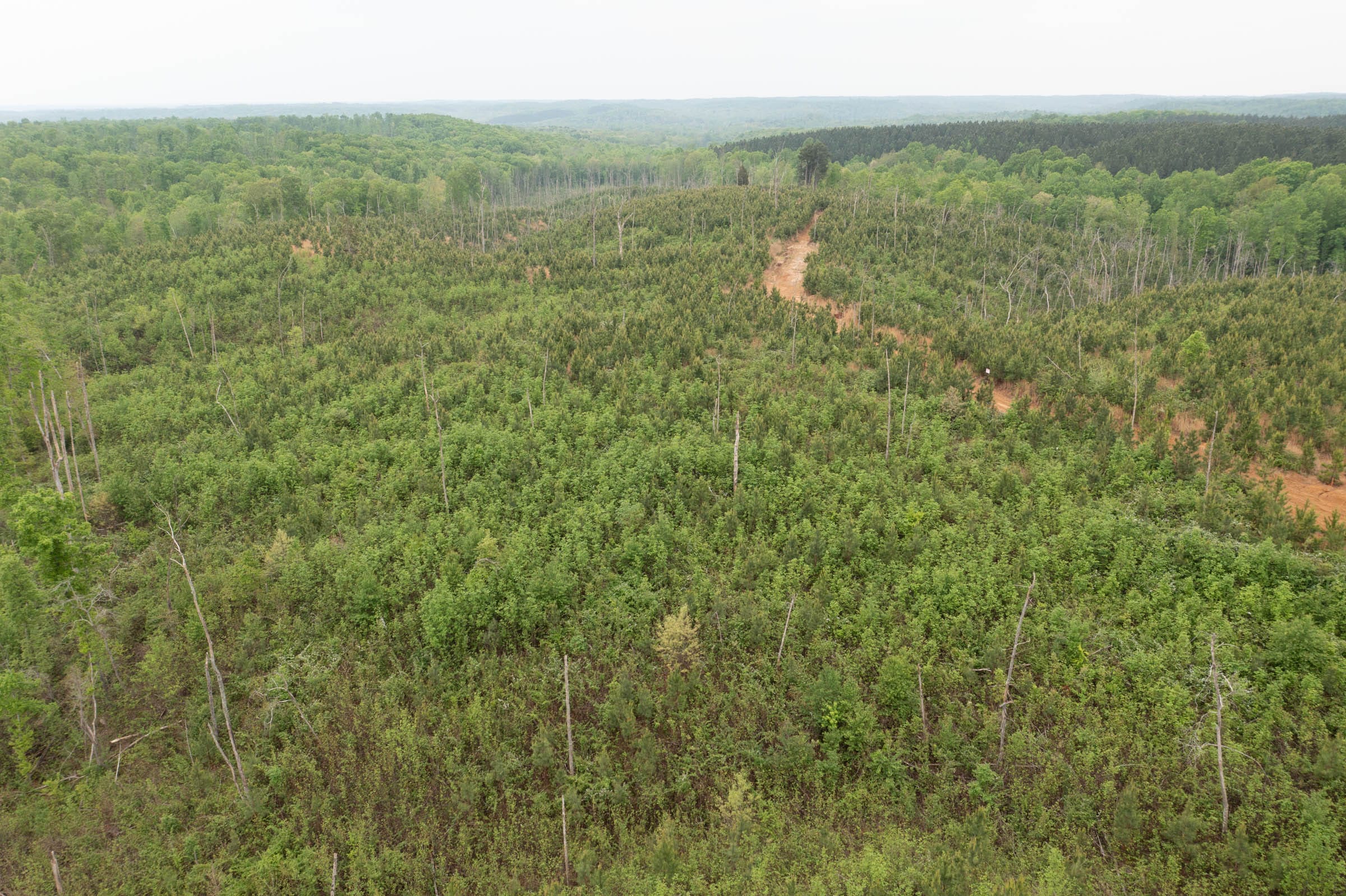 Red Barn Ranch Tract 46 photo 10