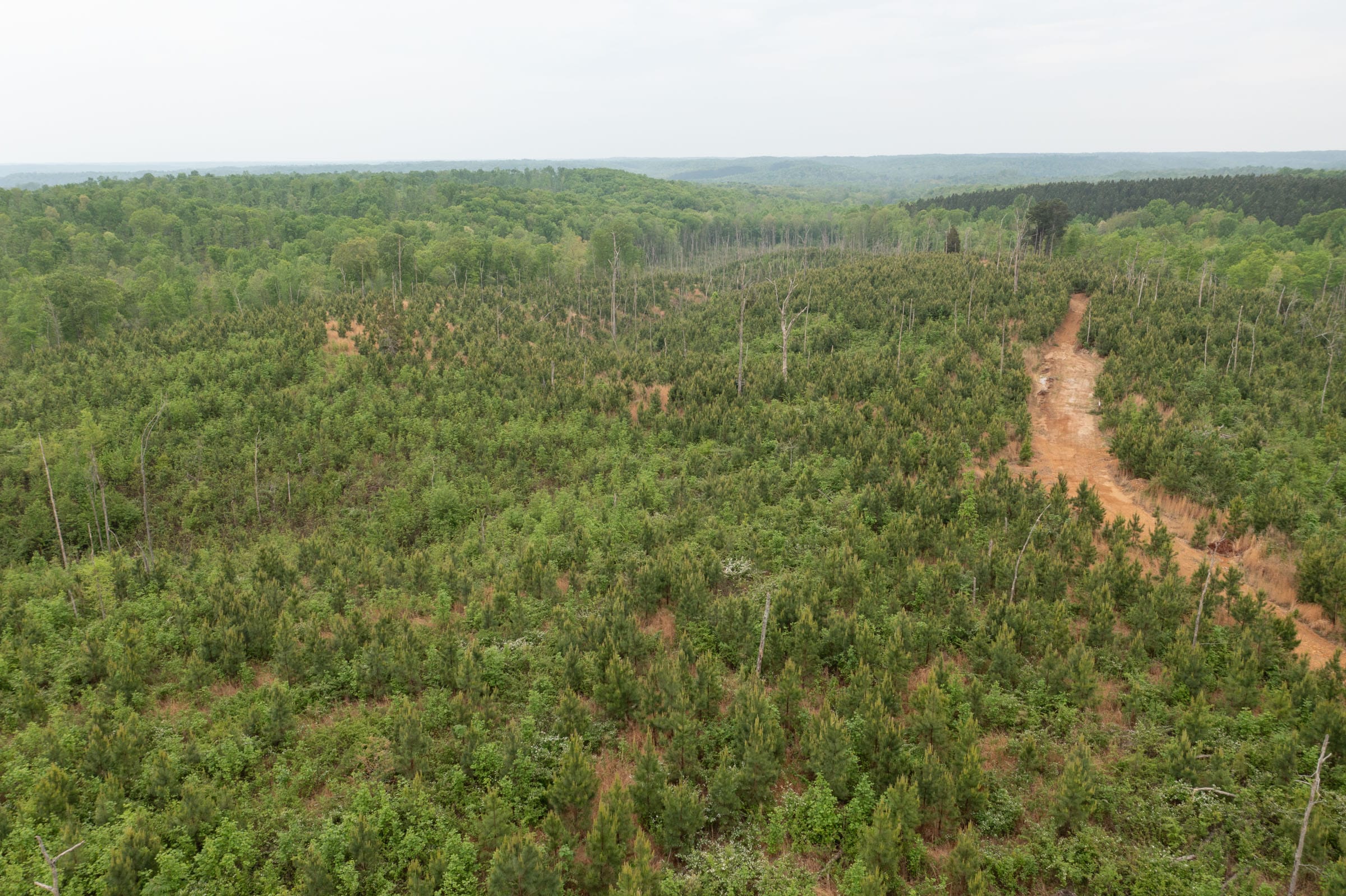 Red Barn Ranch Tract 46 photo 11