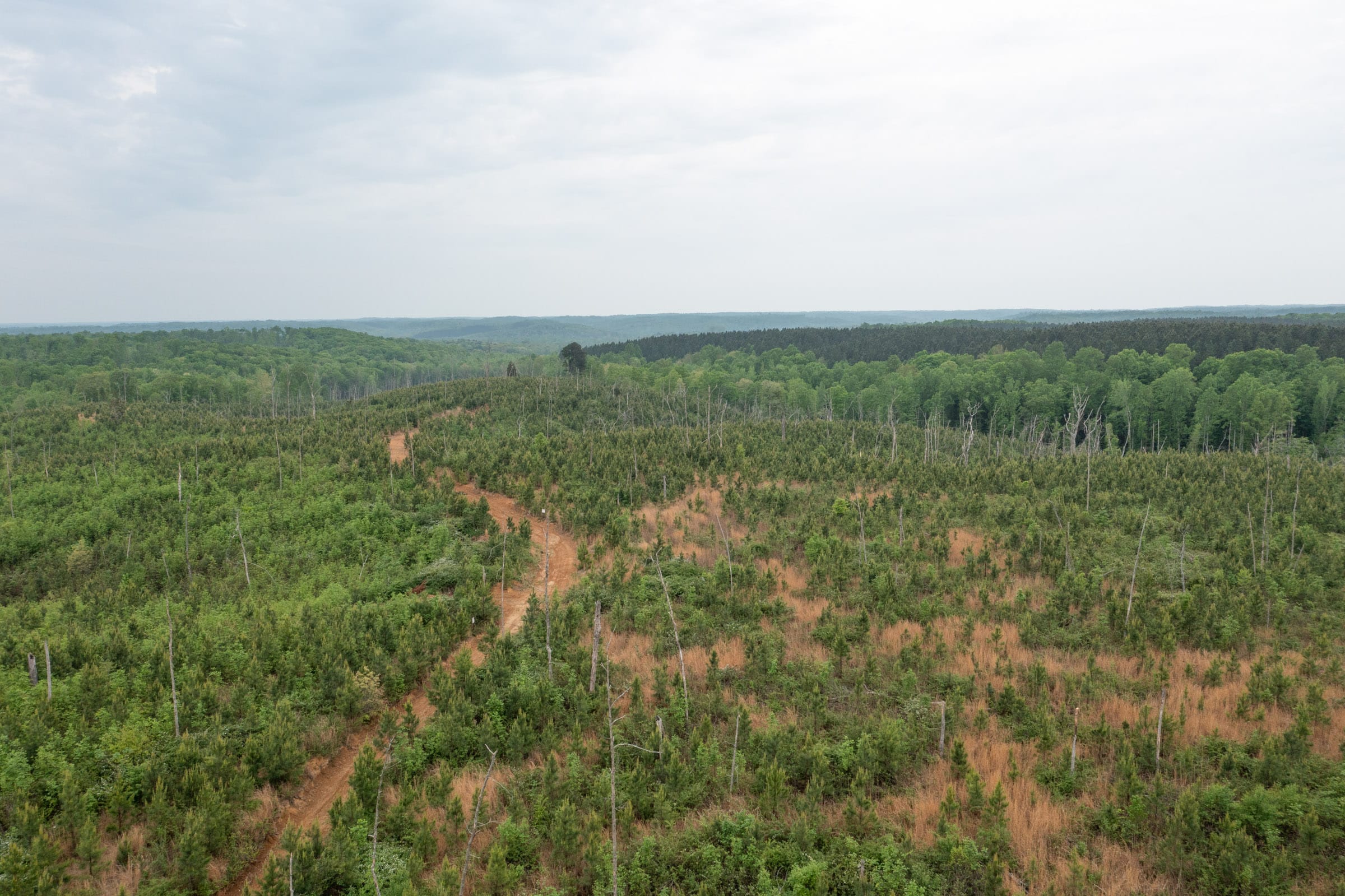 Red Barn Ranch Tract 46 photo 12