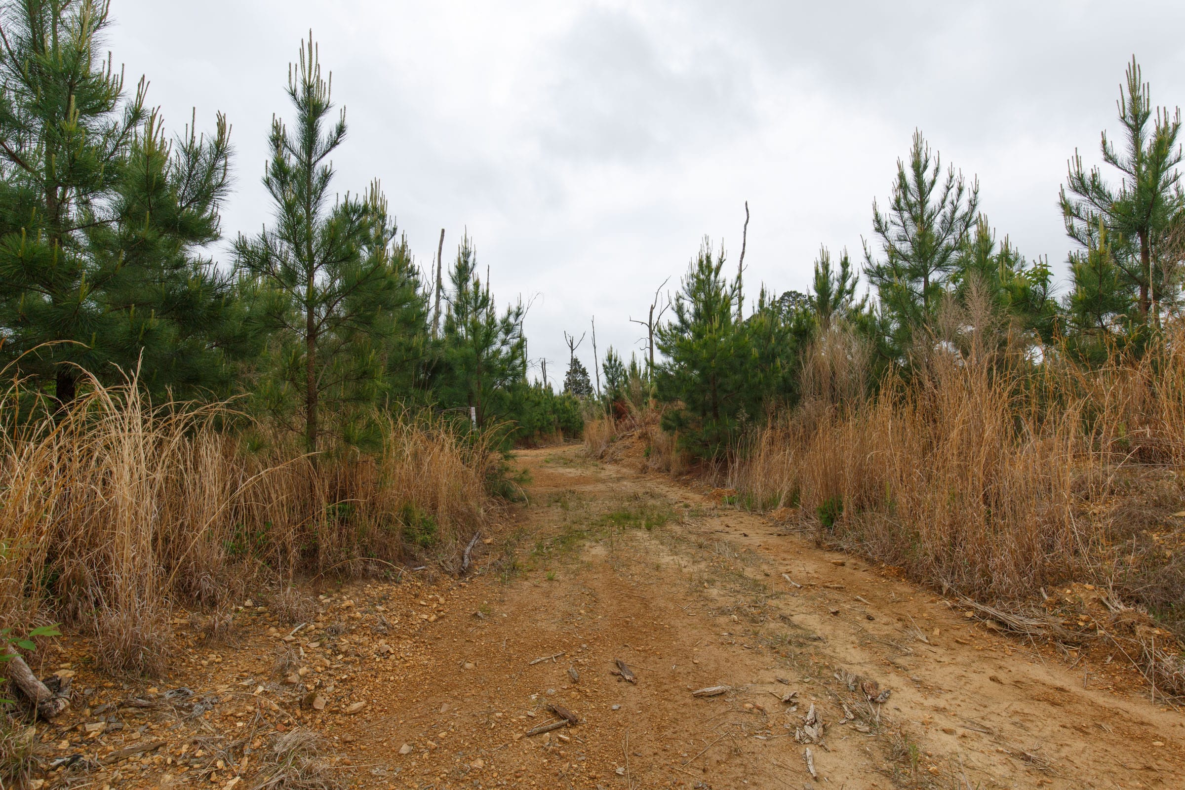 Red Barn Ranch Tract 46 photo 1