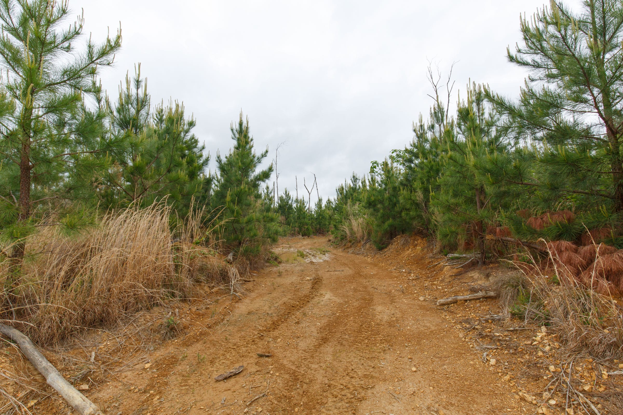 Red Barn Ranch Tract 46 photo 7