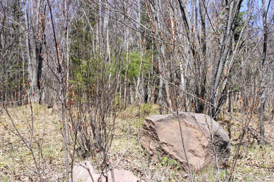 Abby Point Tract 5 photo 3