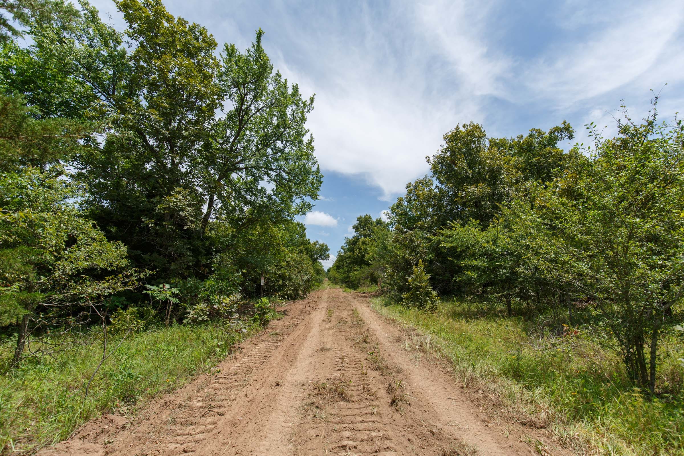 Timber Ridge Tract 11 photo 1