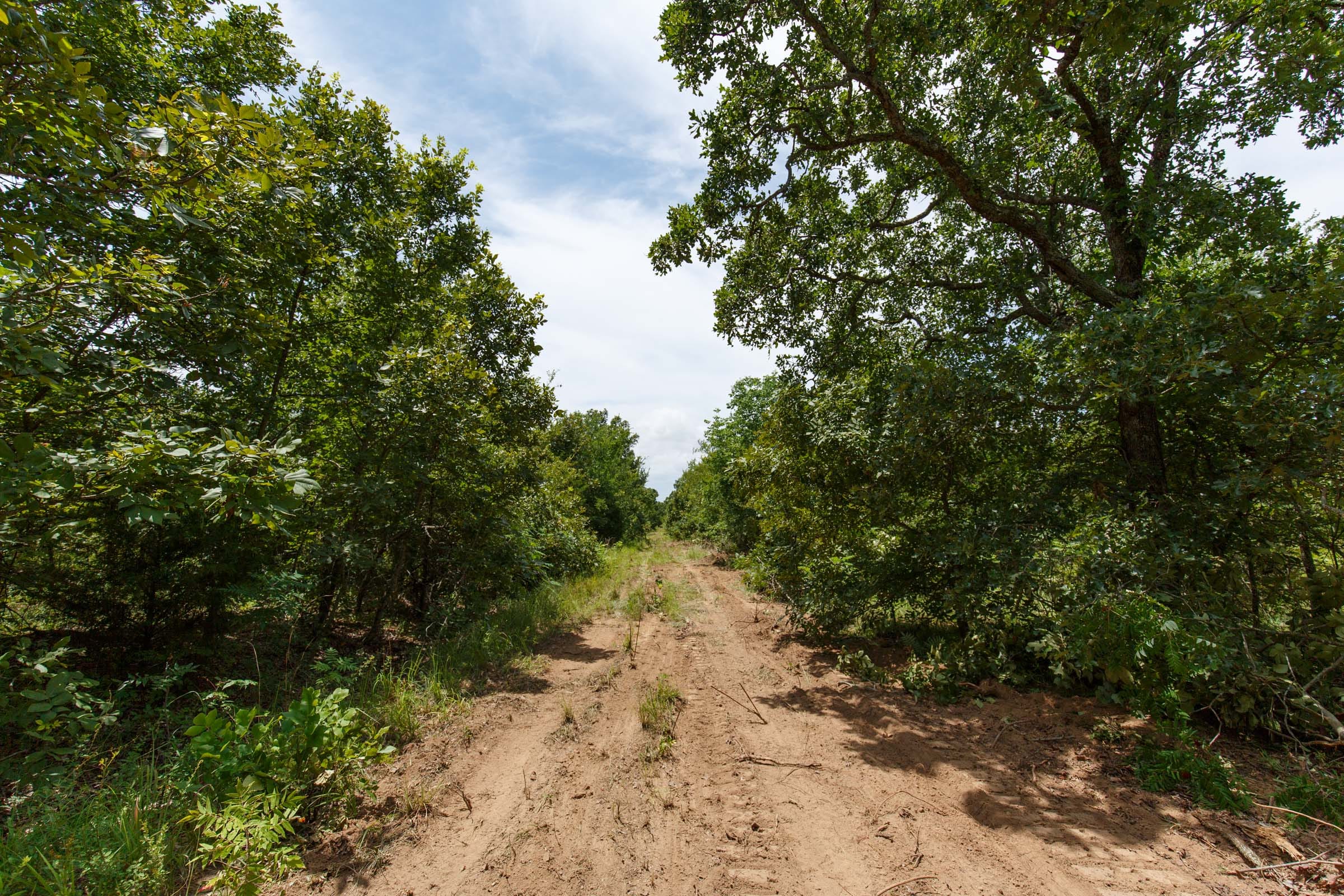 Timber Ridge Tract 11 photo 4