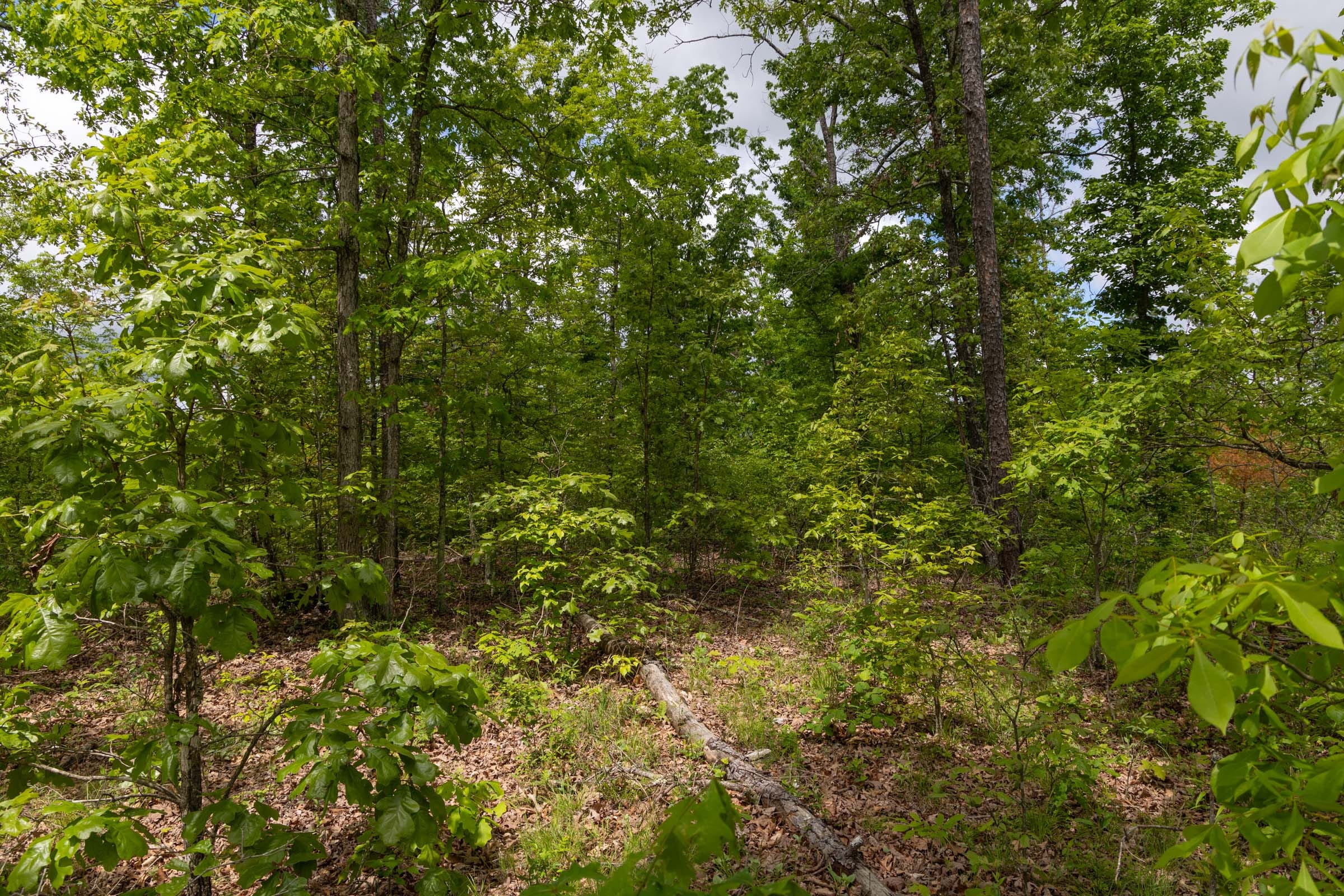 Sleepy Hollow Phase II Tract 68 photo 15