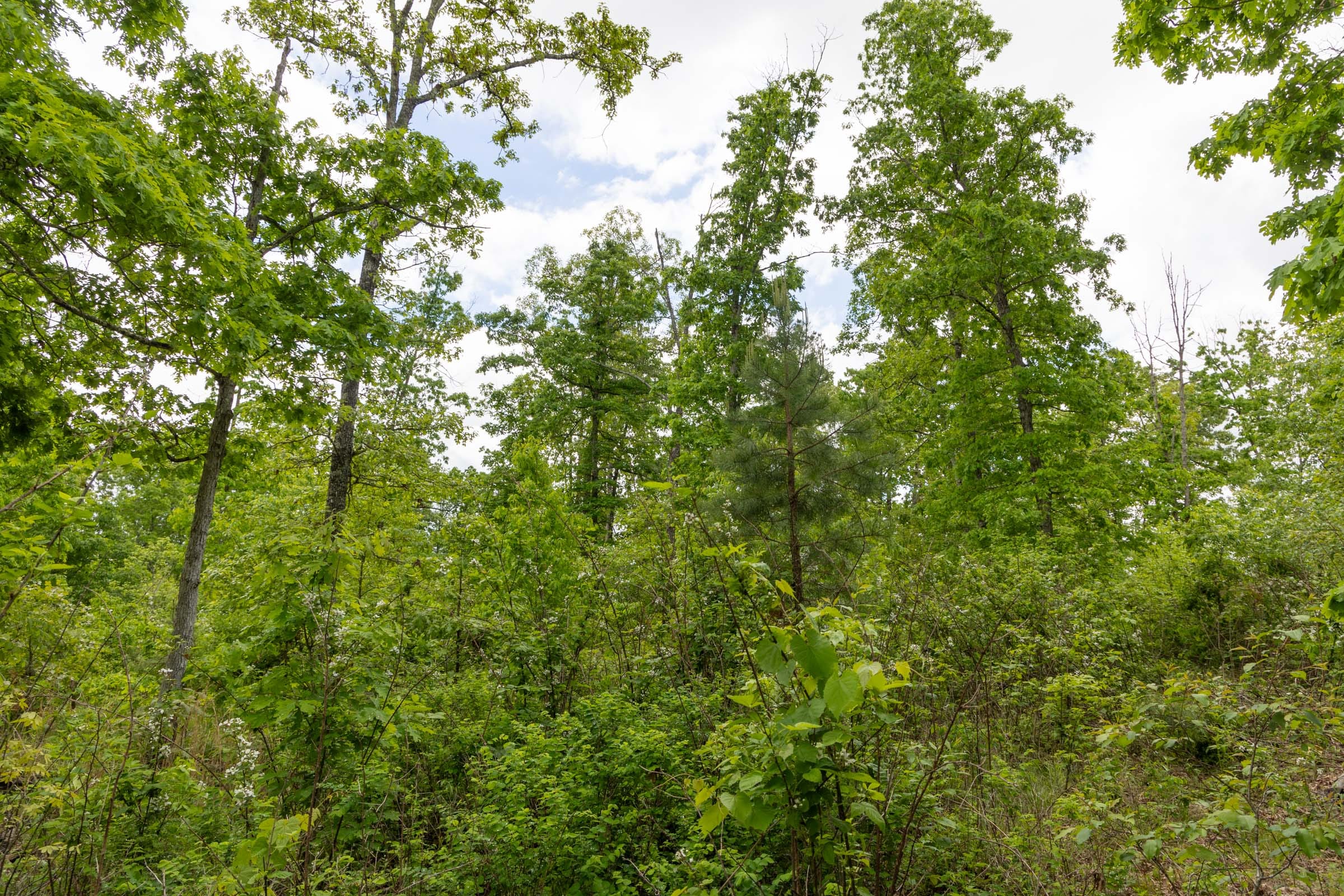 Sleepy Hollow Phase II Tract 68 photo 14