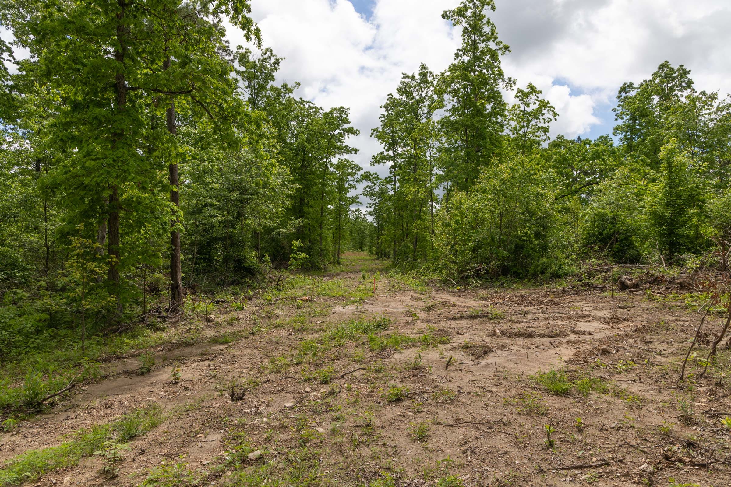 Sleepy Hollow Phase II Tract 68 photo 2