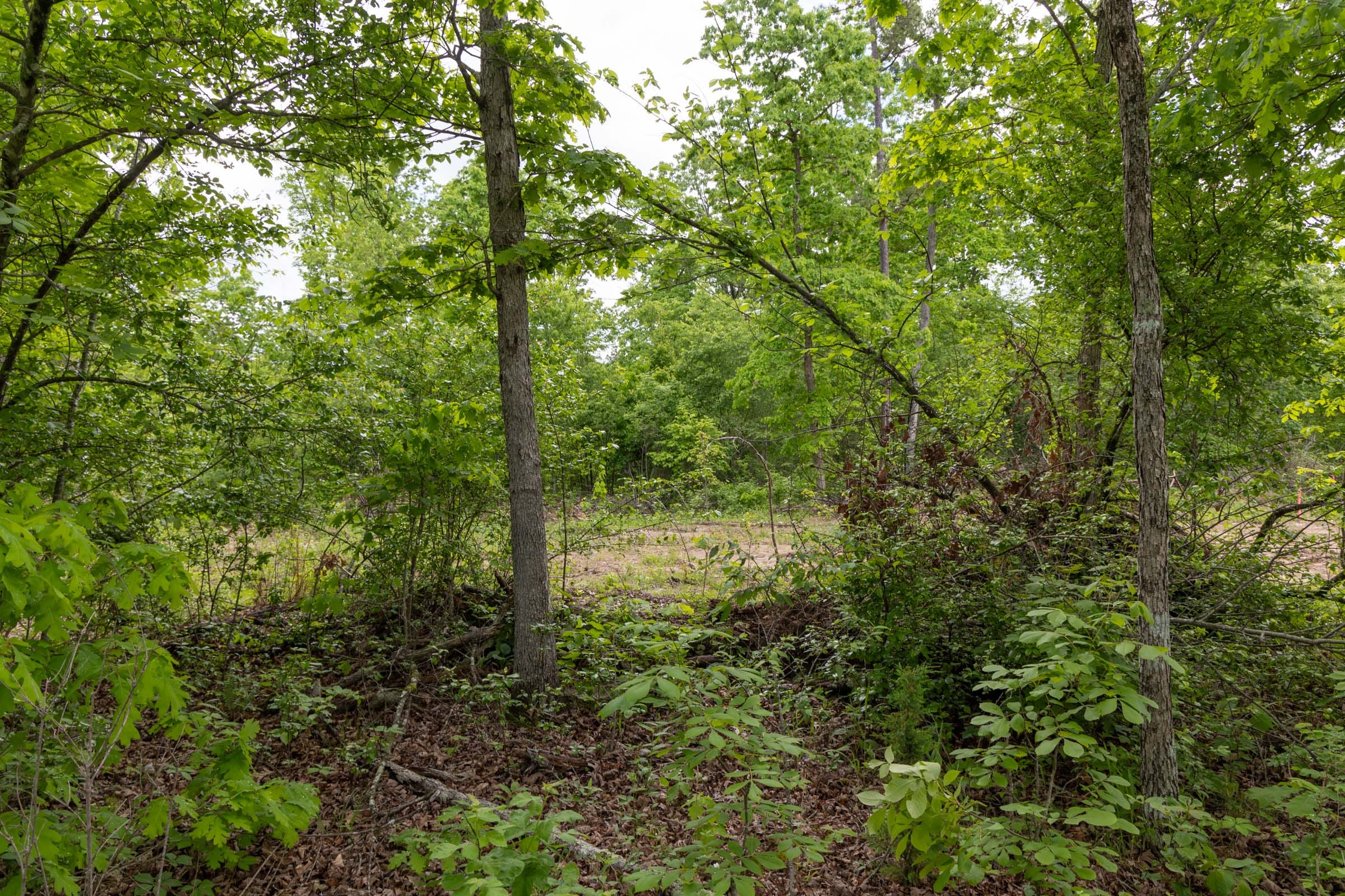 Sleepy Hollow Phase II Tract 68 photo 12