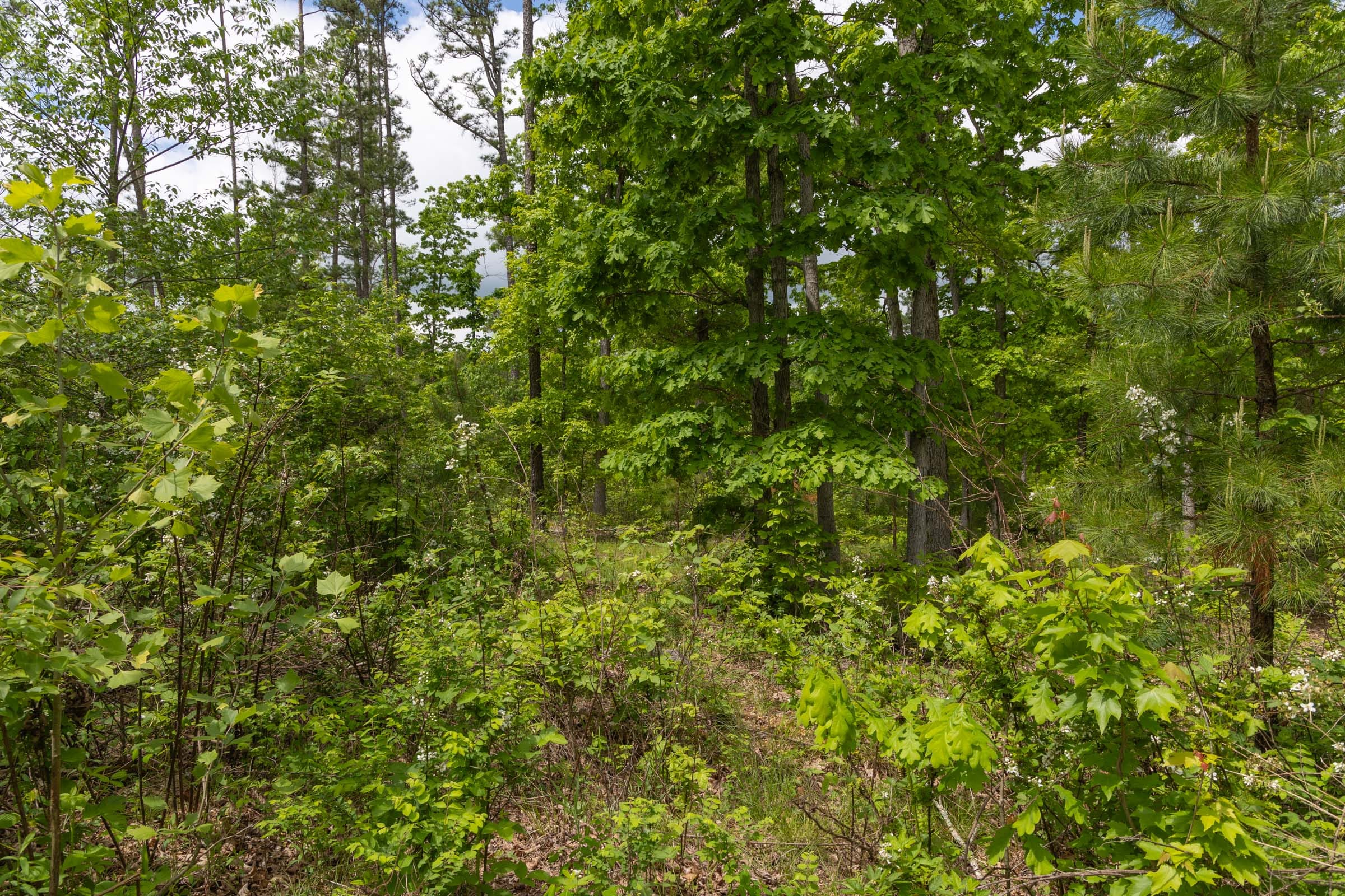 Sleepy Hollow Phase II Tract 68 photo 11