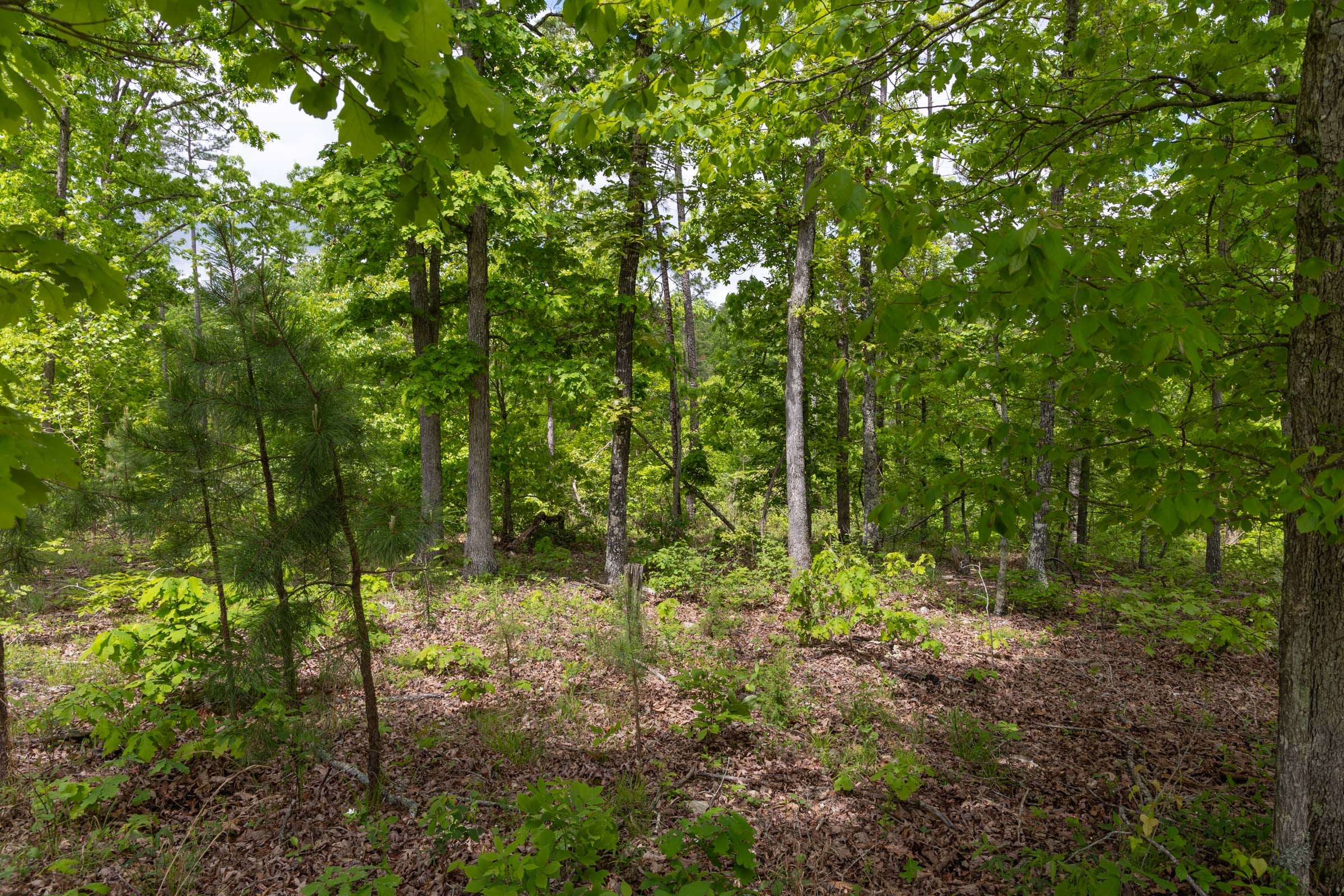 Sleepy Hollow Phase II Tract 68 photo 1