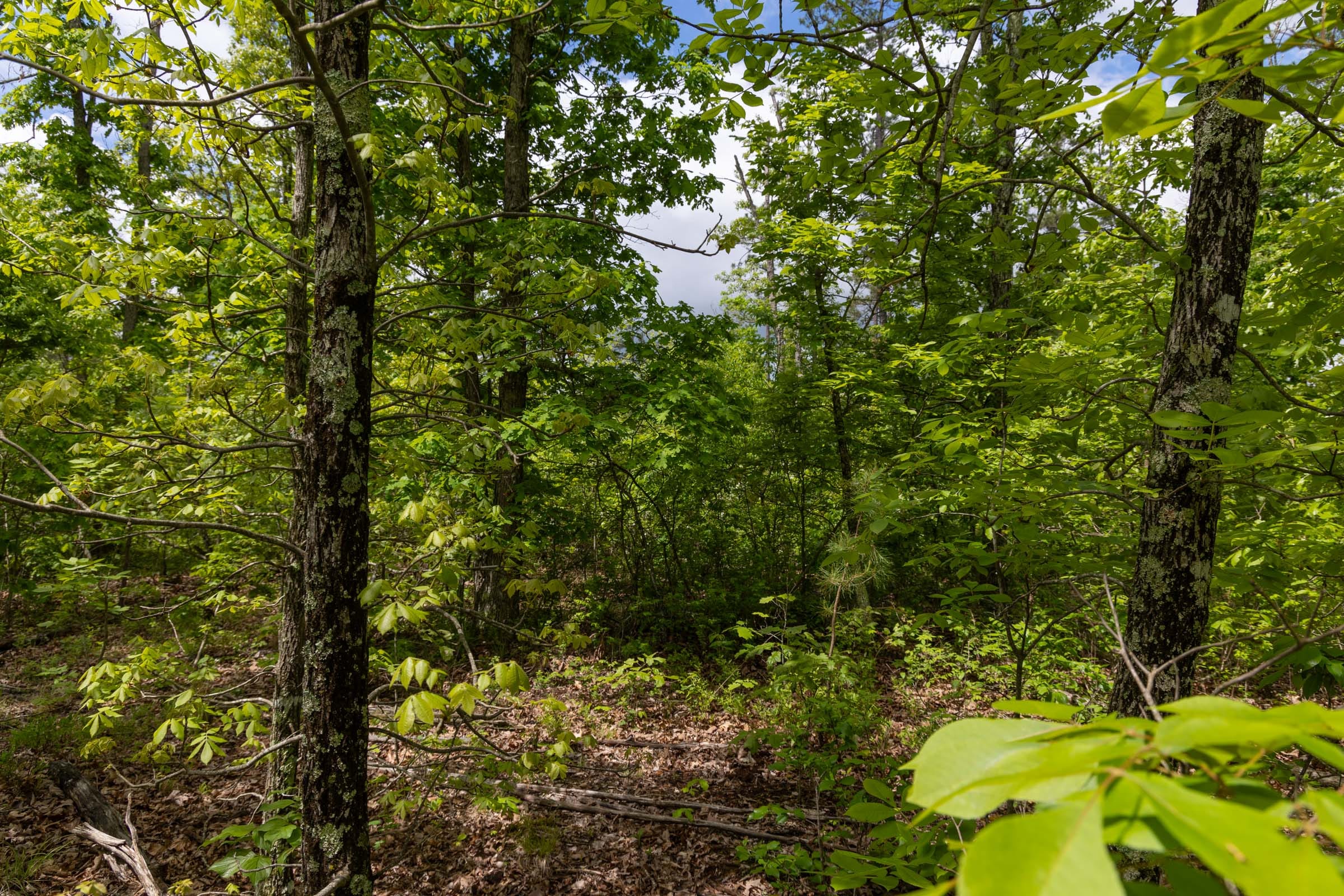 Sleepy Hollow Phase II Tract 68 photo 10