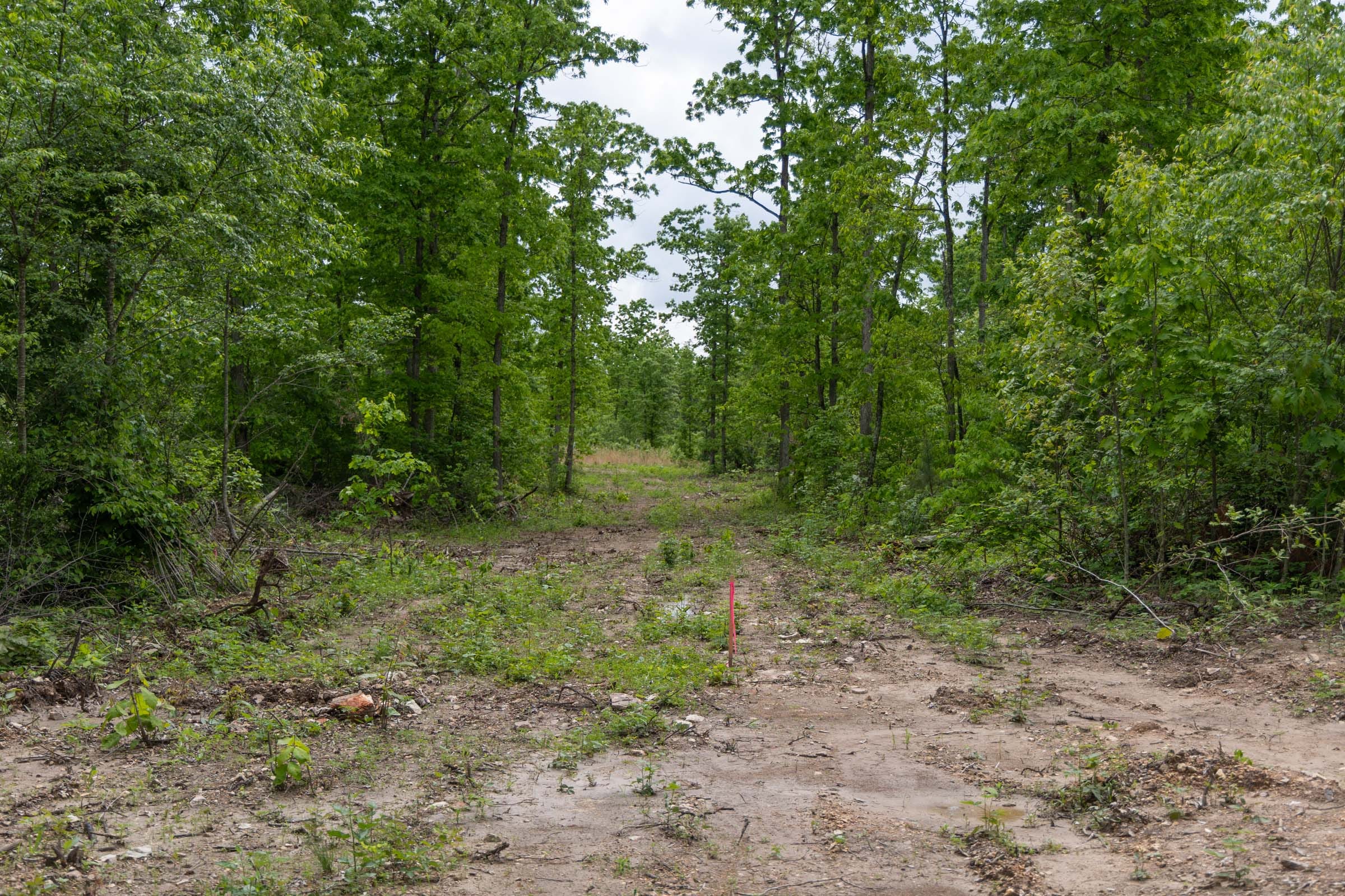 Sleepy Hollow Phase II Tract 68 photo 6