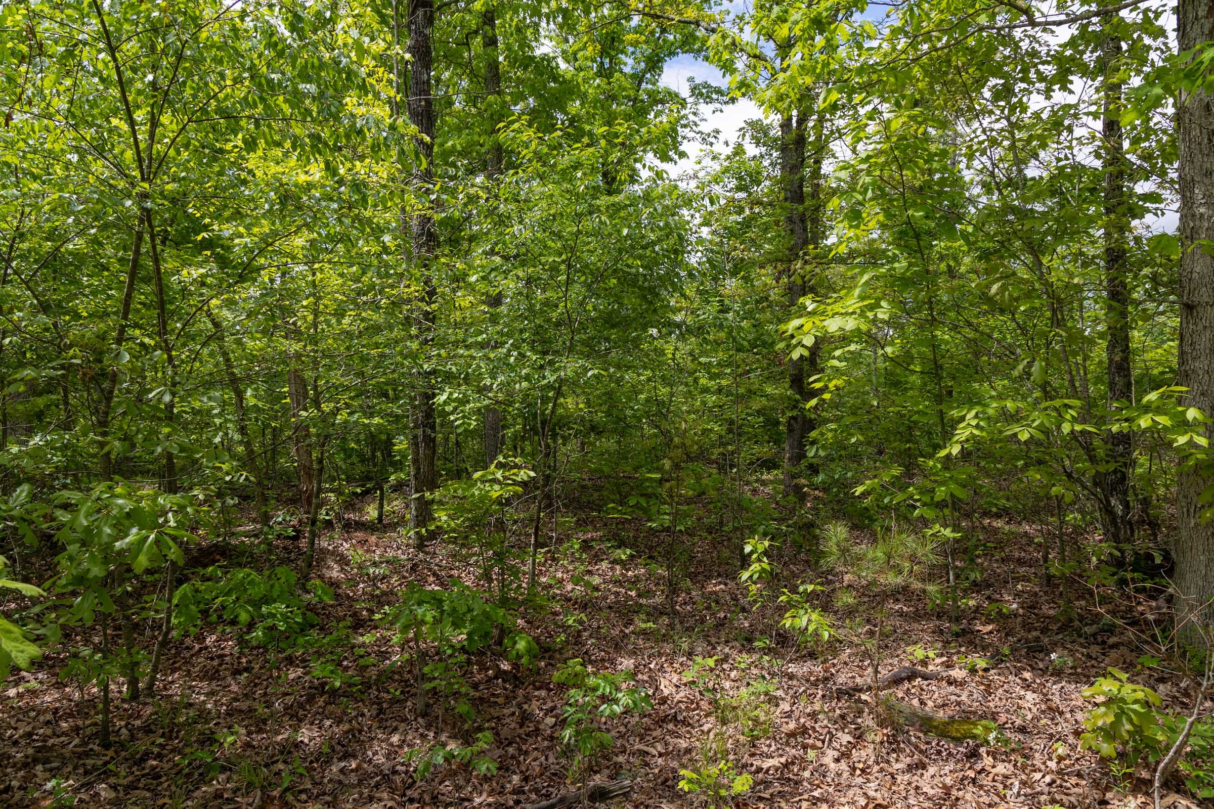 Sleepy Hollow Phase II Tract 68 photo 9
