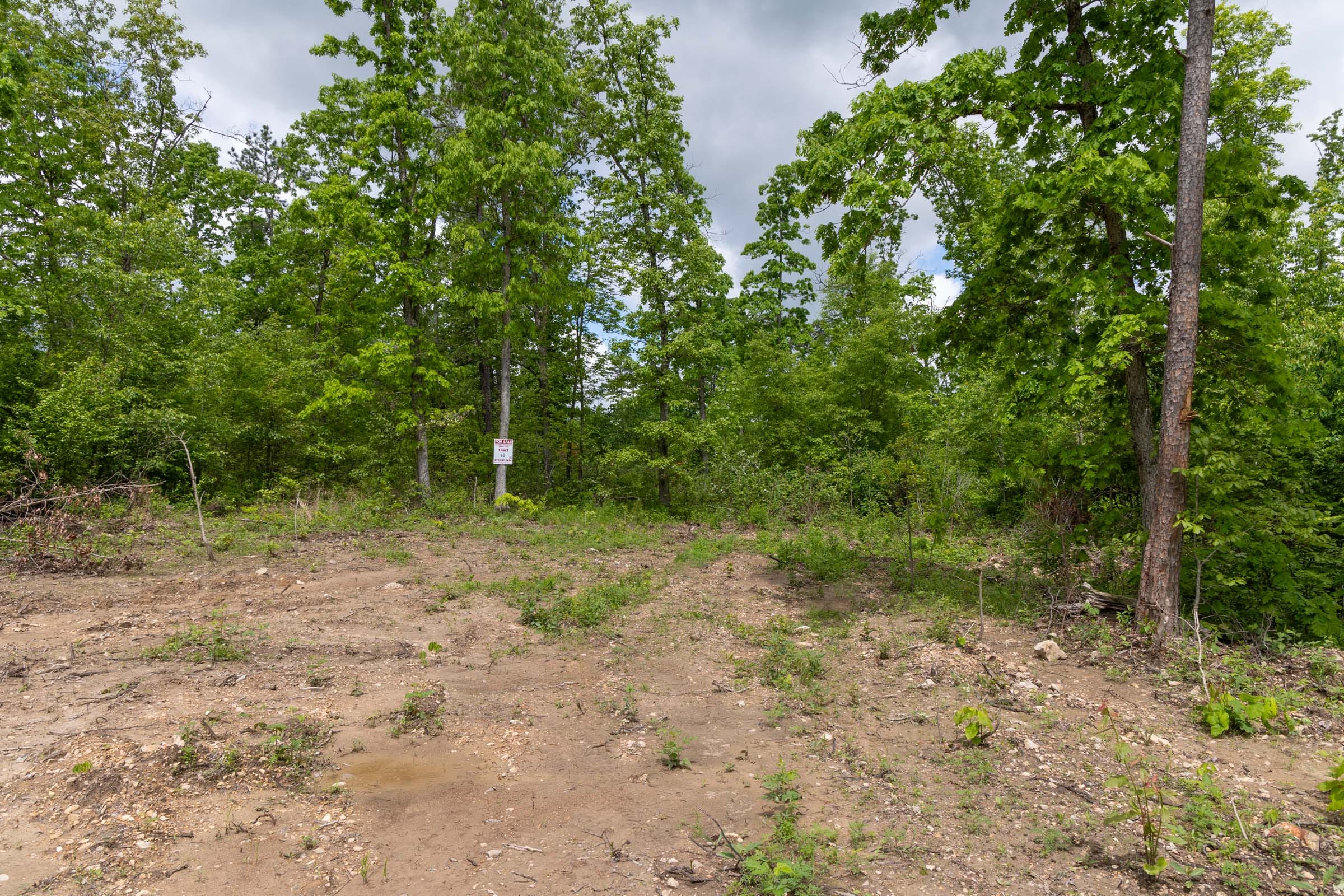 Sleepy Hollow Phase II Tract 68 photo 5