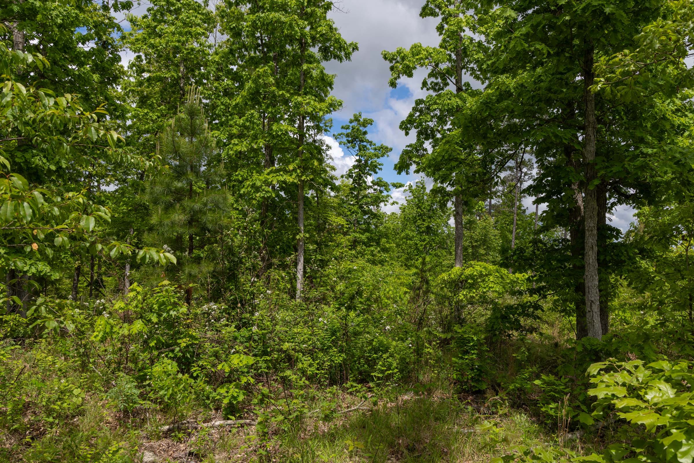 Sleepy Hollow Phase II Tract 68 photo 8