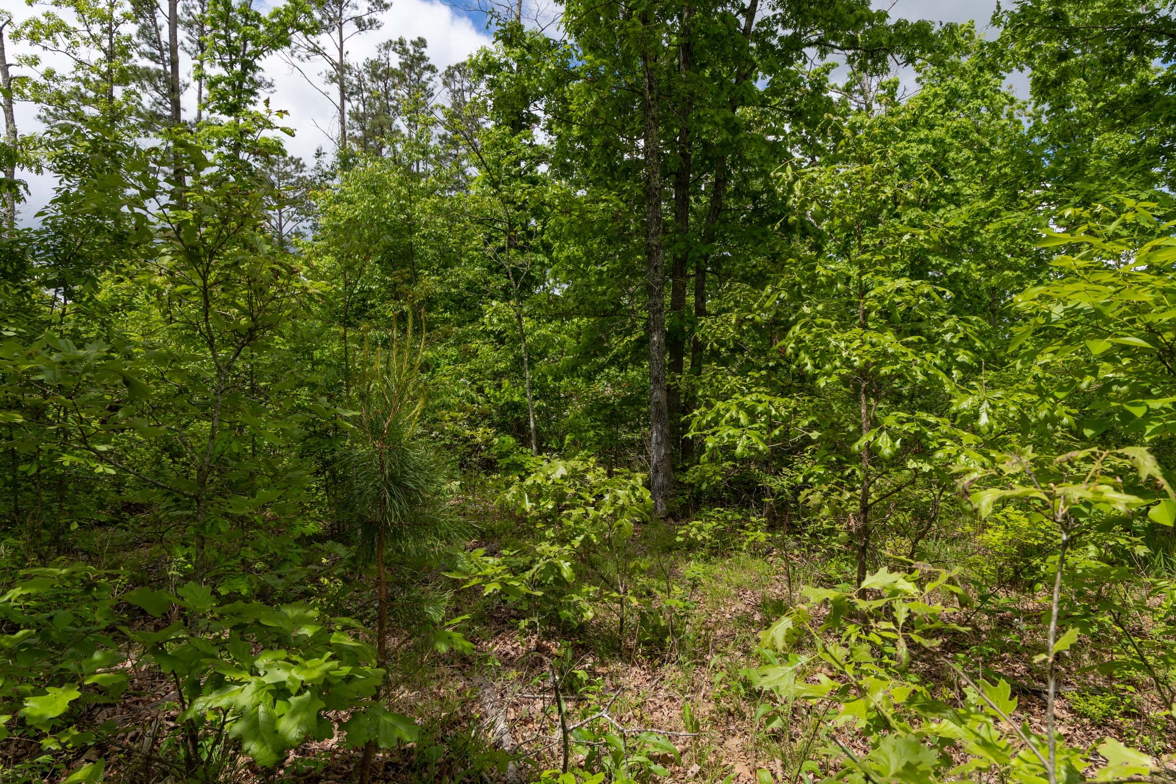 Sleepy Hollow Phase II Tract 68 photo 7