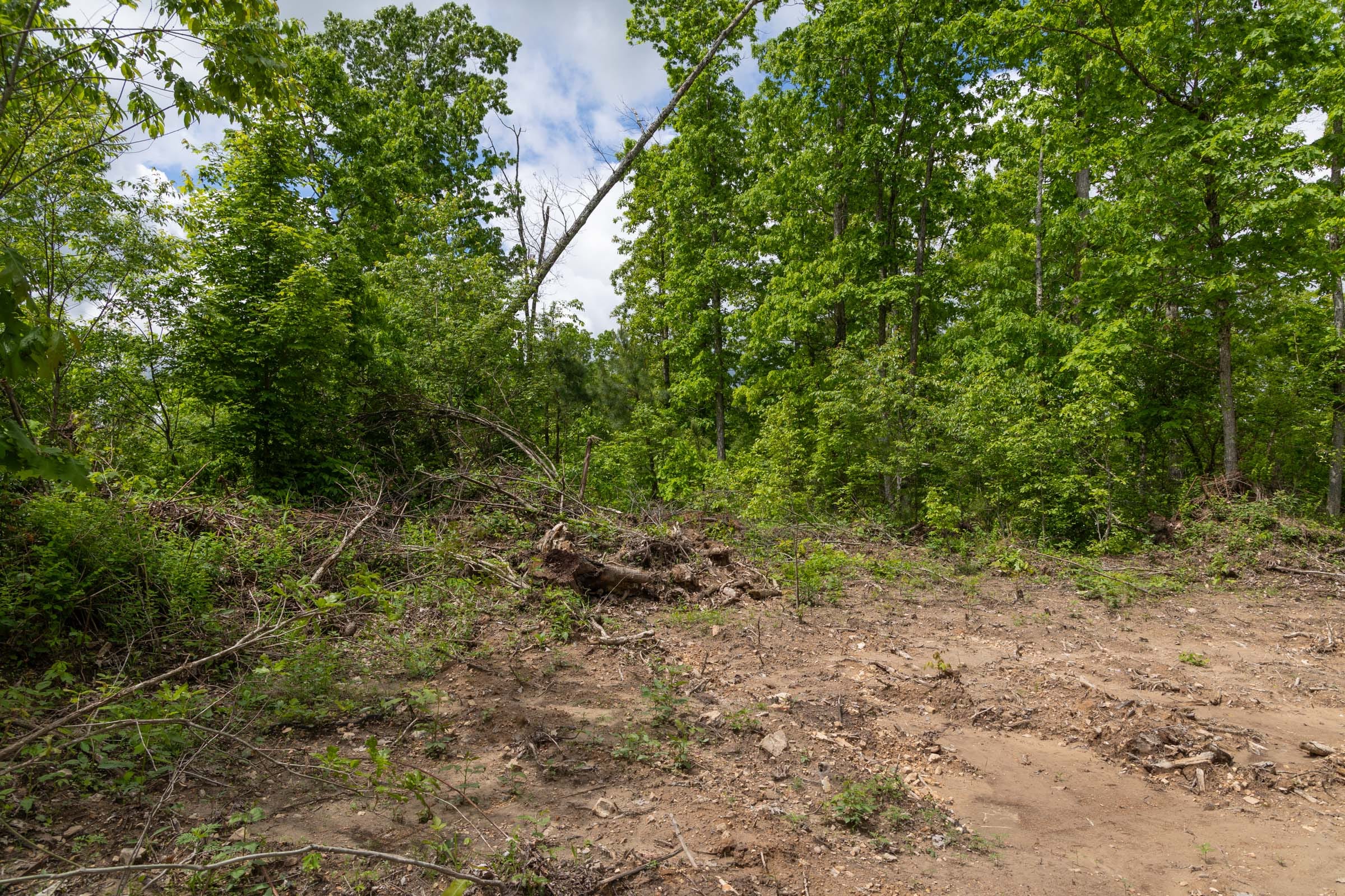 Sleepy Hollow Phase II Tract 68 photo 4