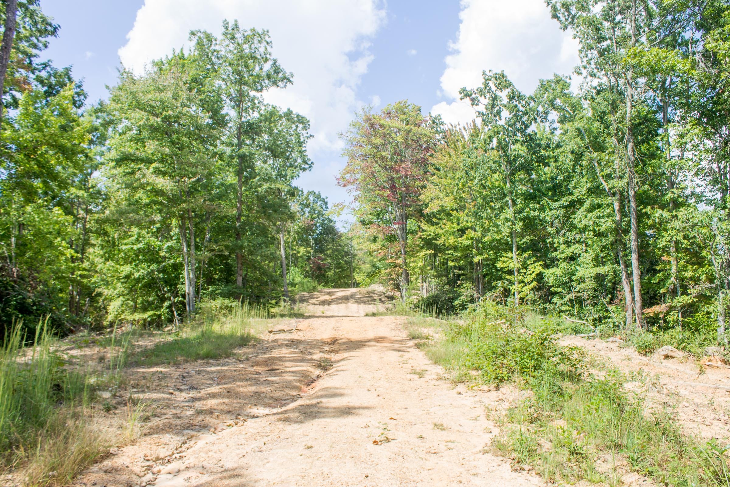Buck Run Ridge Tract 4 photo 1