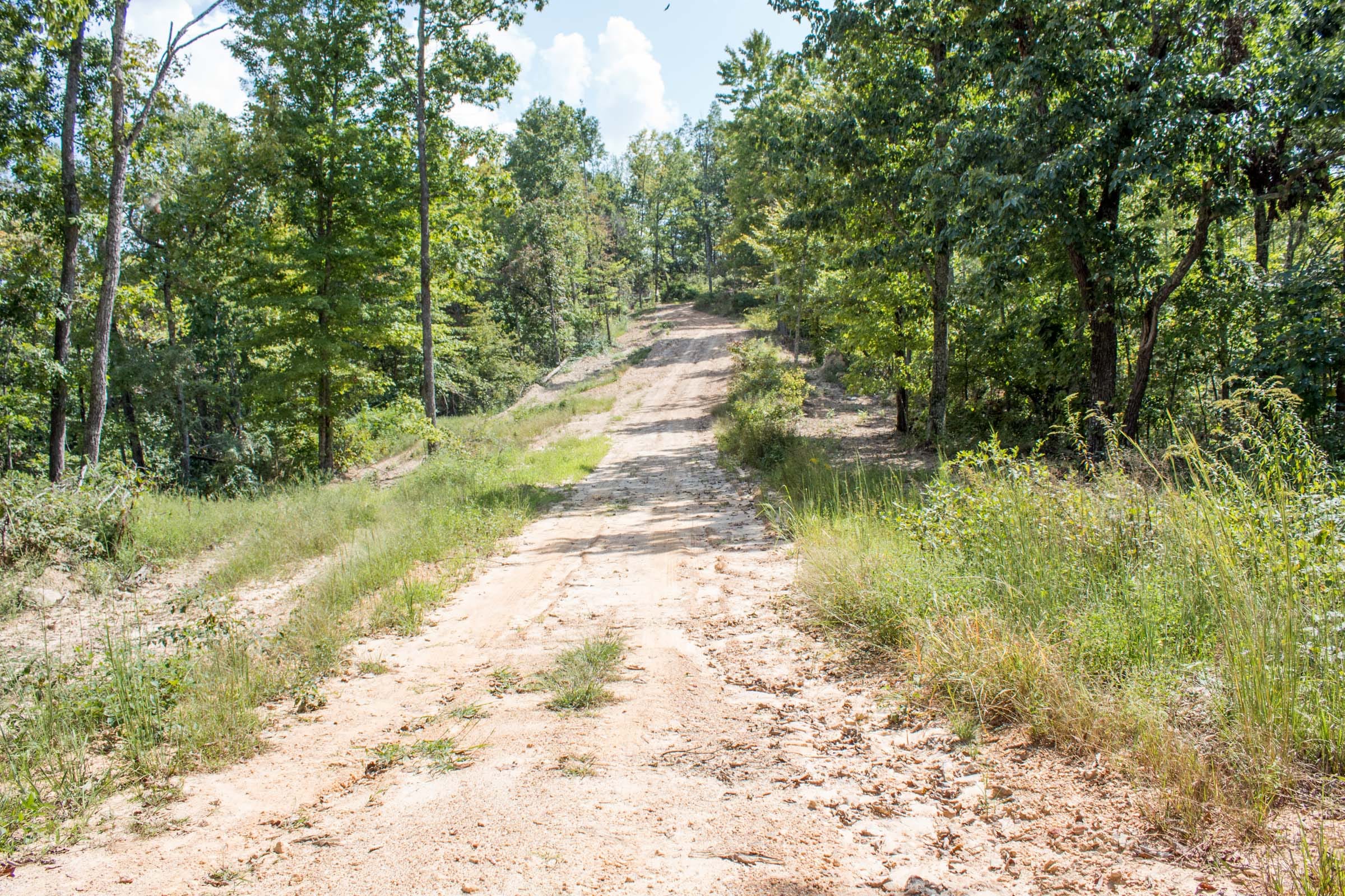 Buck Run Ridge Tract 28 photo 1
