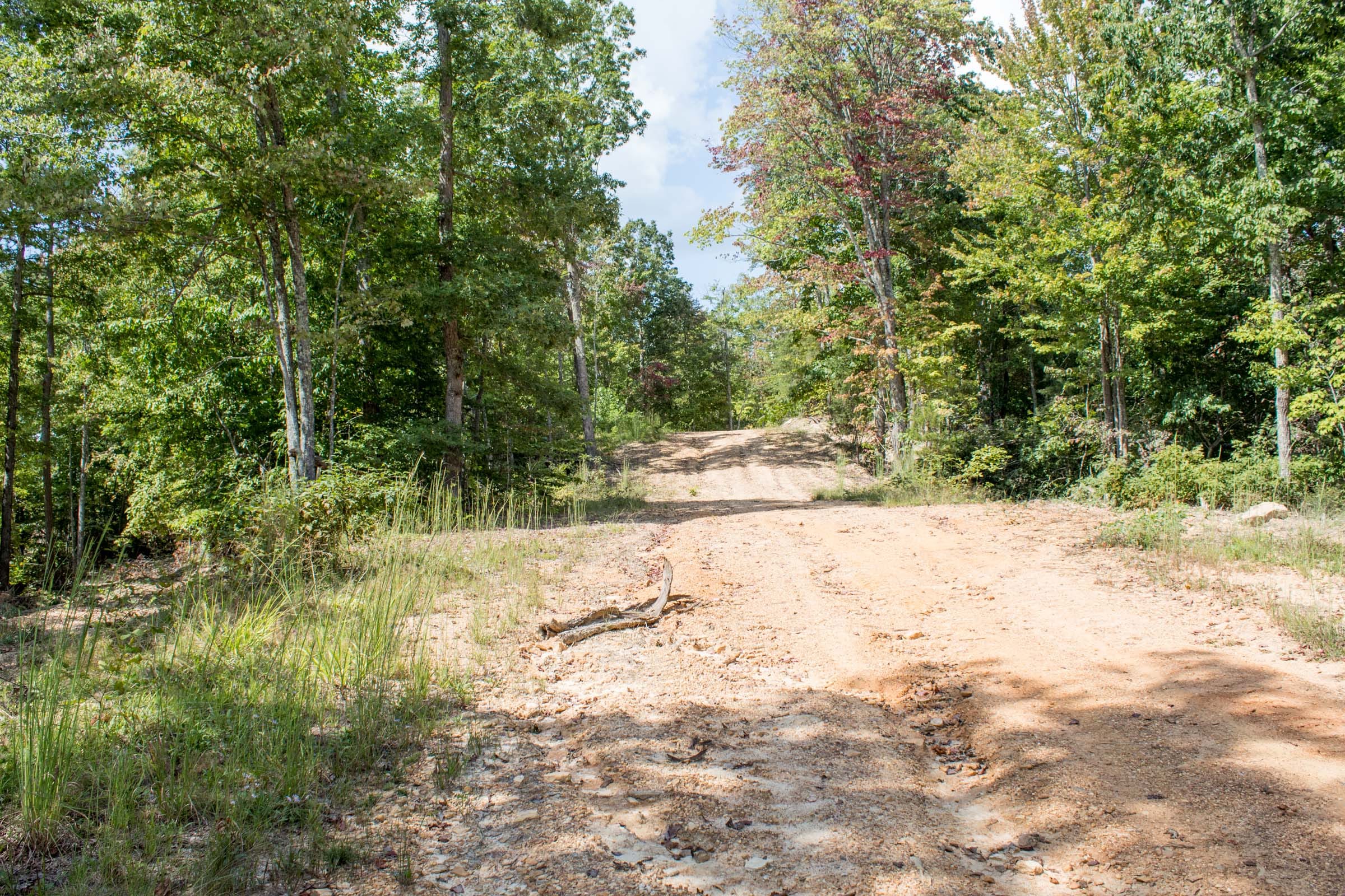Buck Run Ridge Tract 28 photo 2