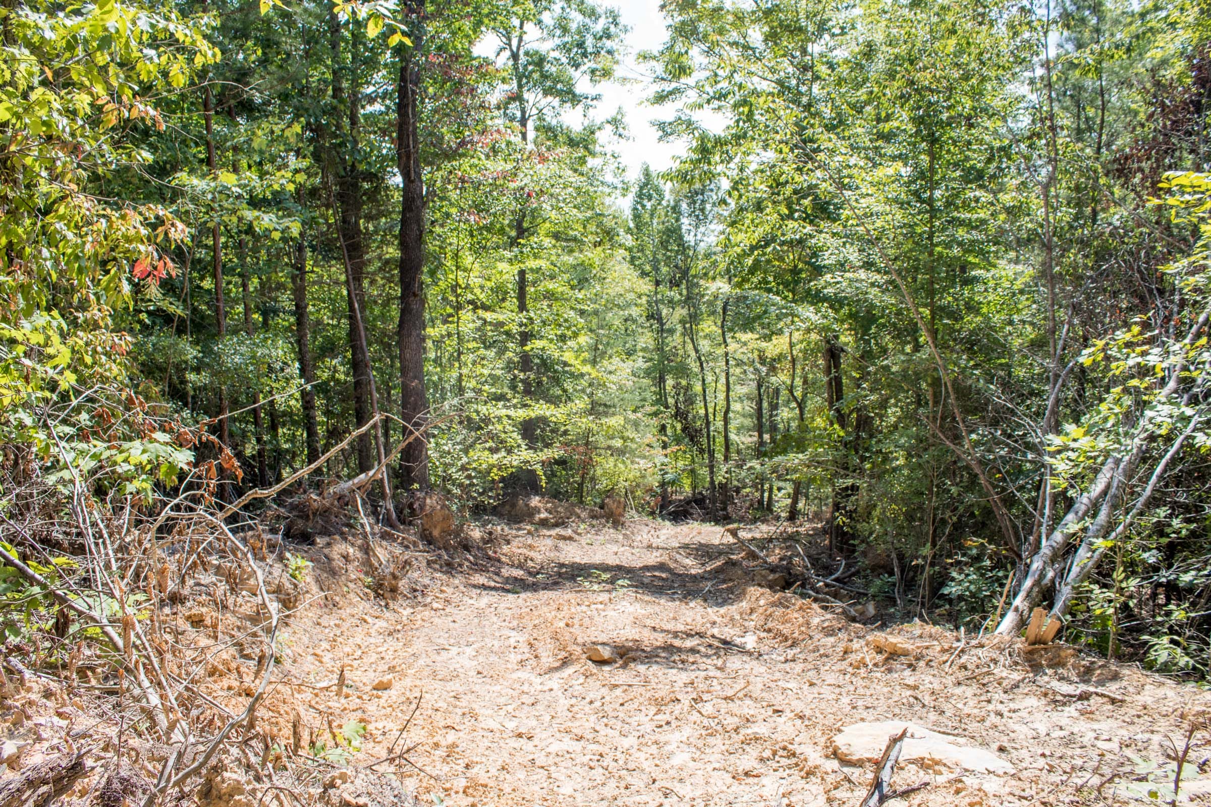 Buck Run Ridge Tract 28 photo 8
