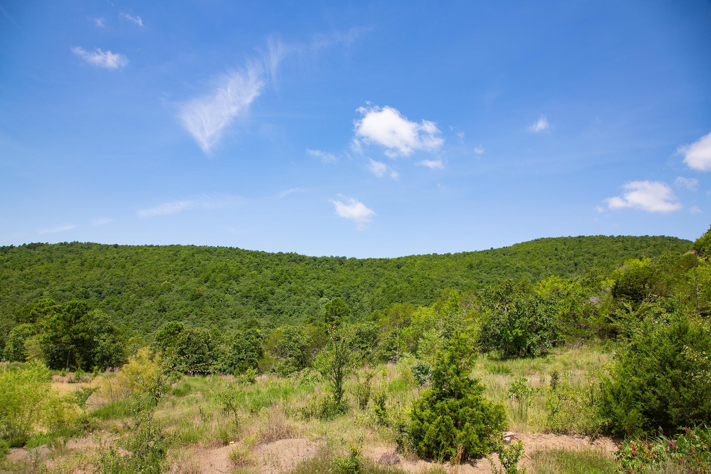 Tyler Stone Ranch Tract 79 photo 18