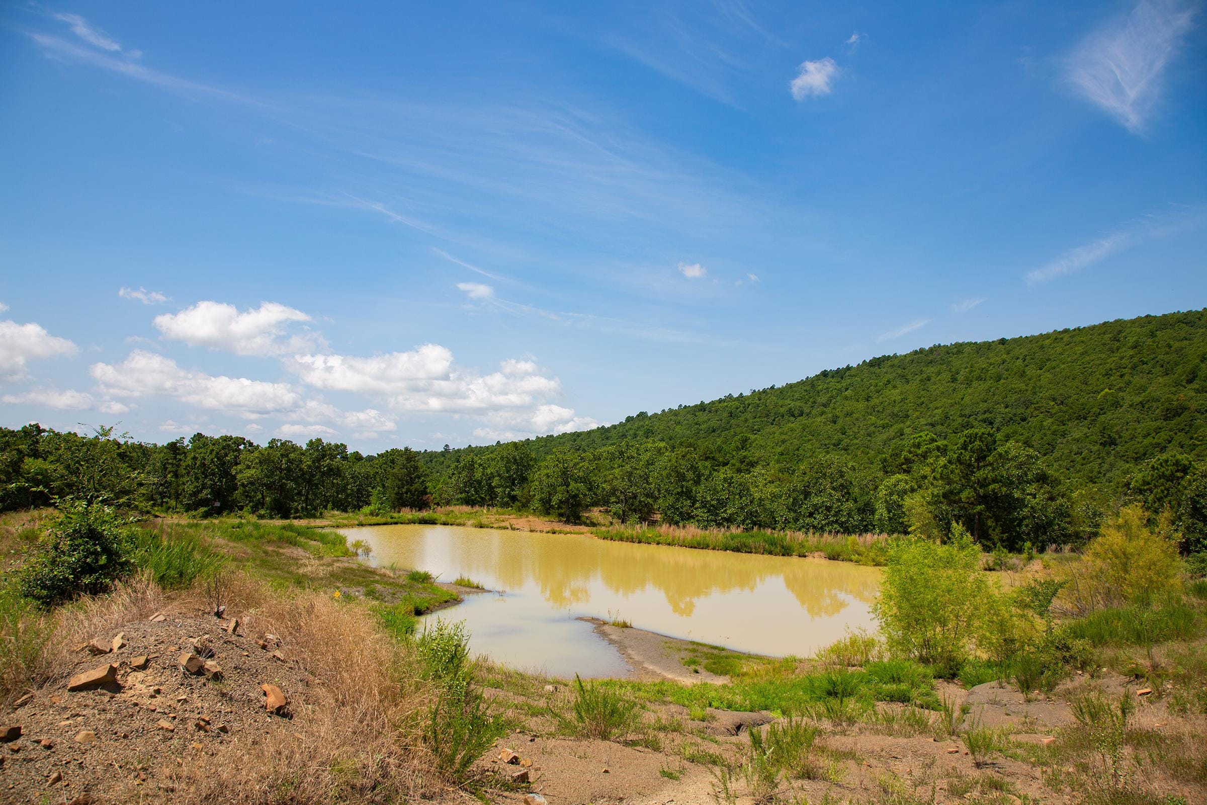 Tyler Stone Ranch Tract 79 photo 2