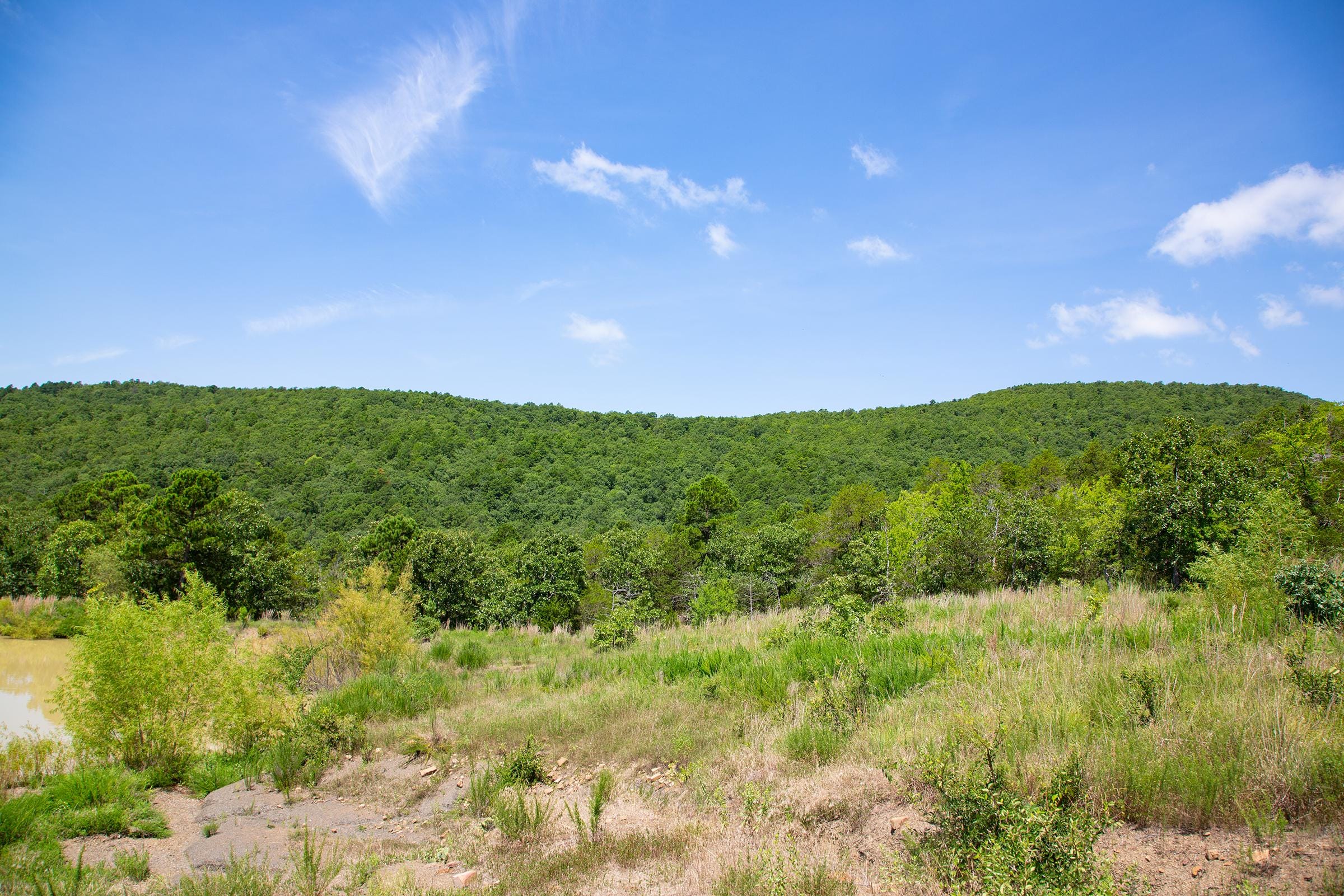 Tyler Stone Ranch Tract 79 photo 20