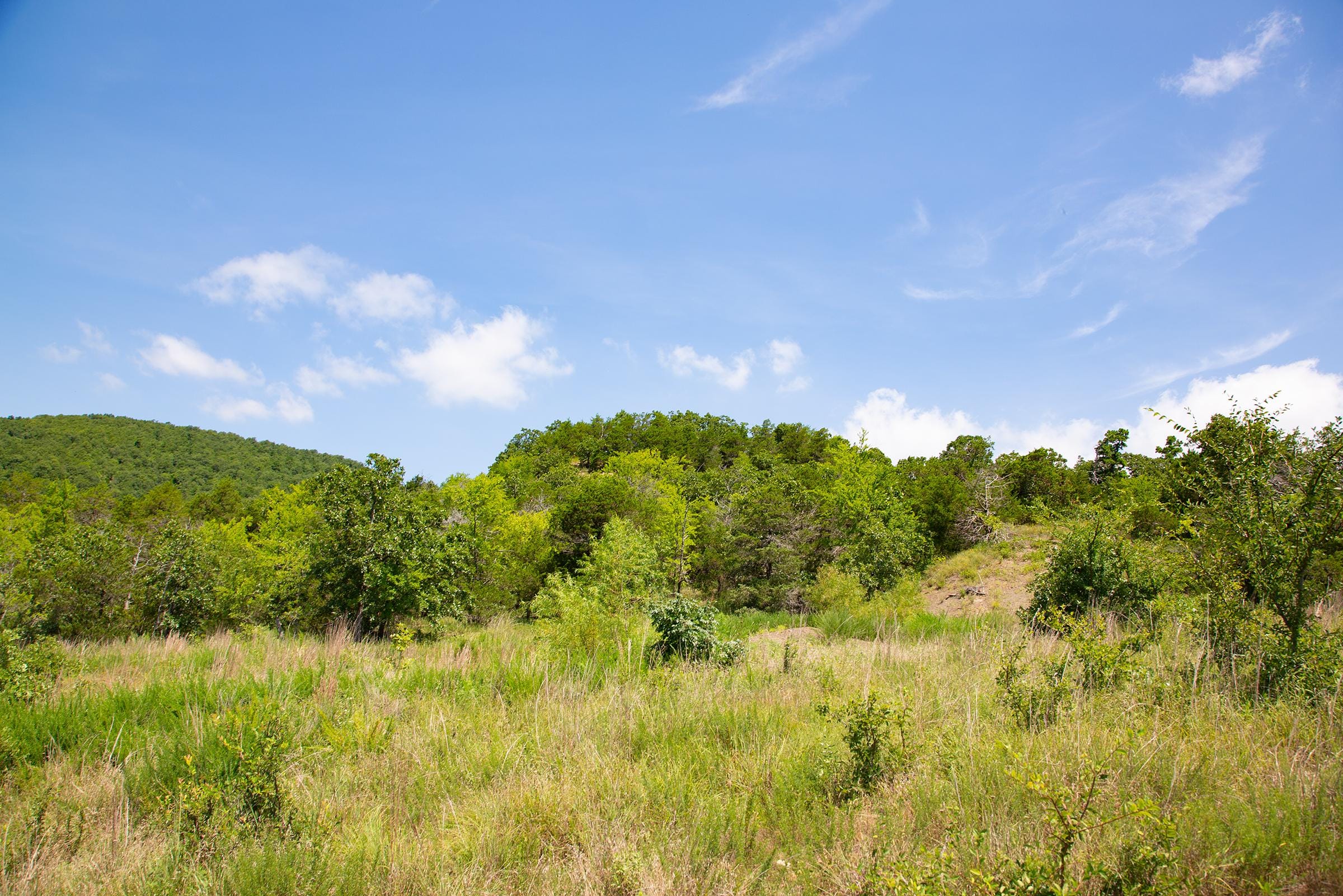 Tyler Stone Ranch Tract 79 photo 22