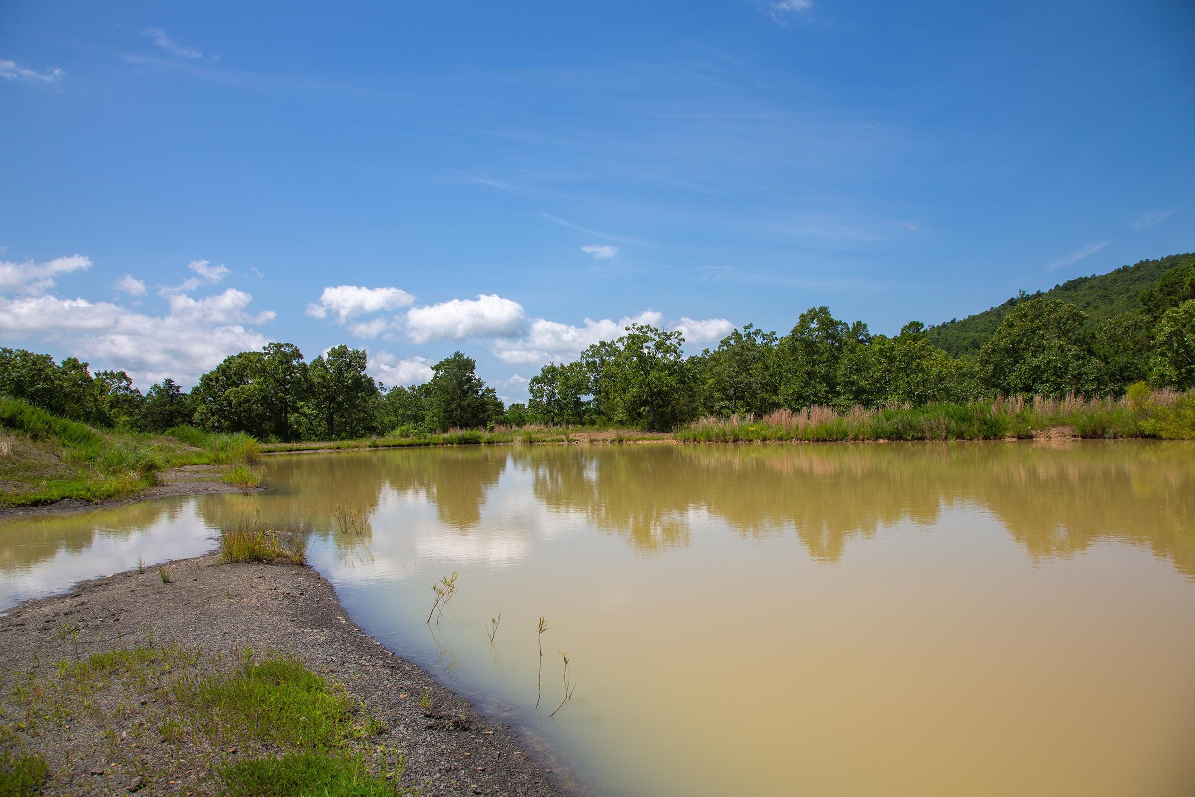 Tyler Stone Ranch Tract 79 photo 4