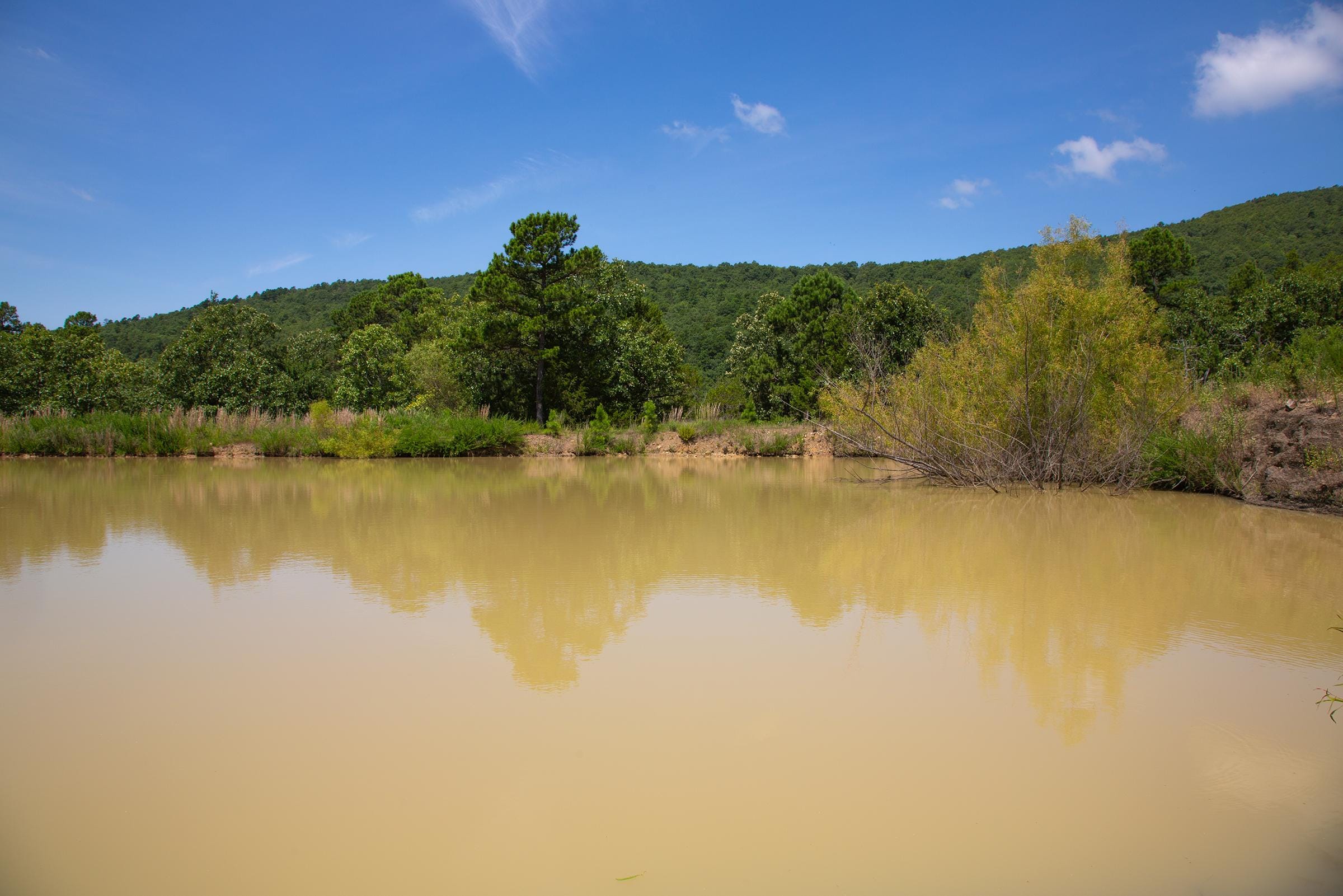 Tyler Stone Ranch Tract 79 photo 5