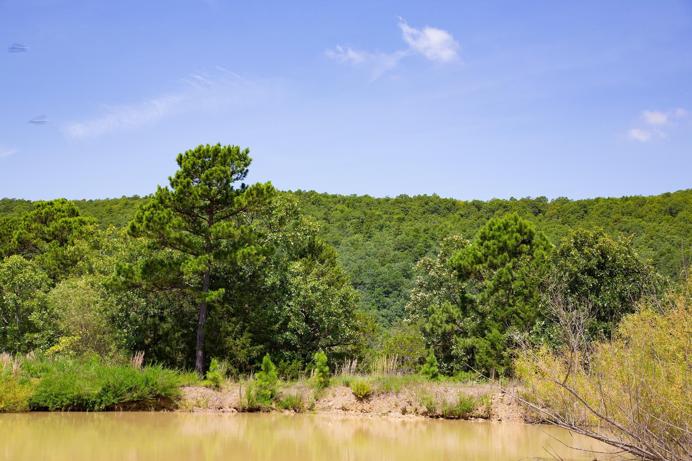 Tyler Stone Ranch Tract 79 photo 6
