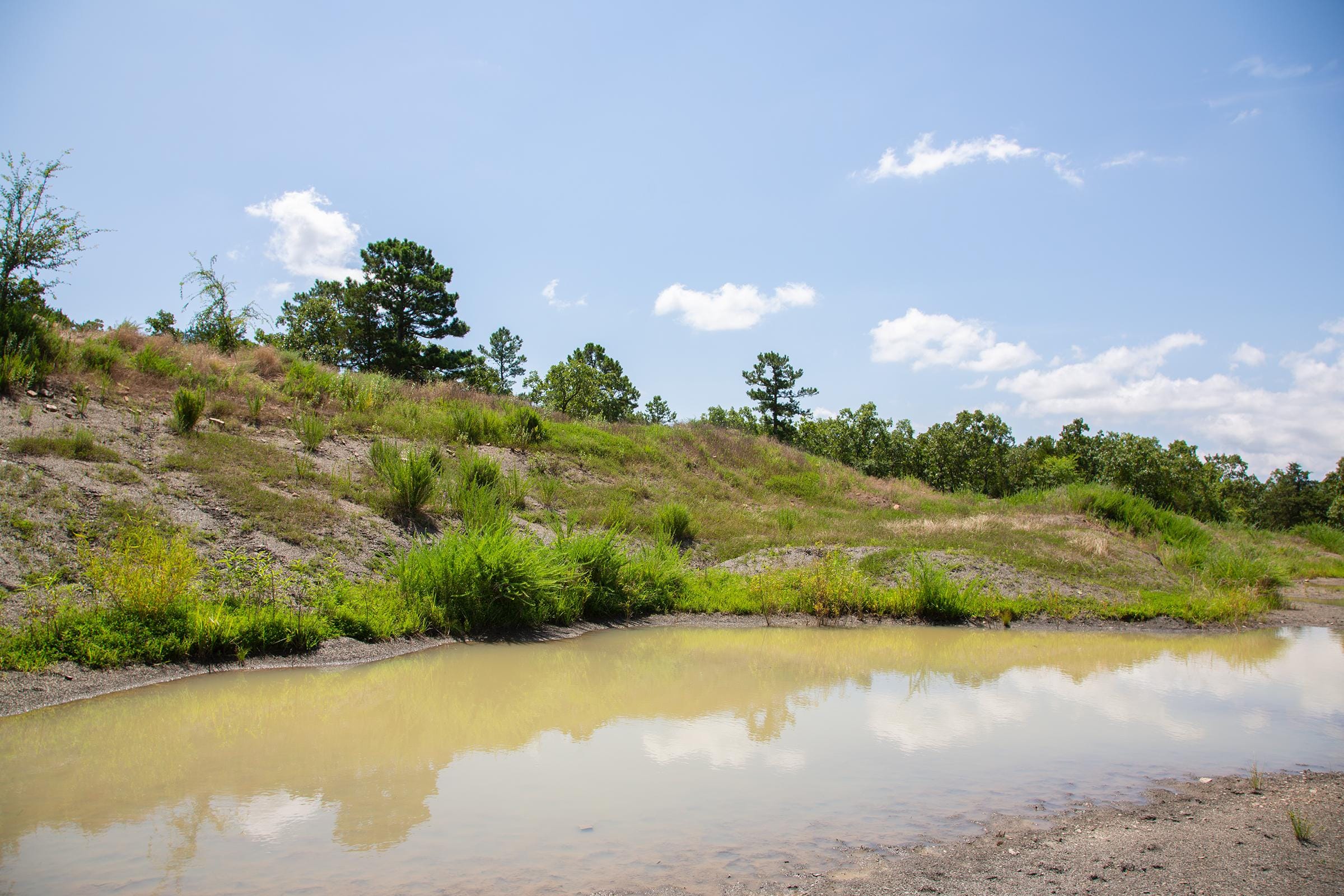 Tyler Stone Ranch Tract 79 photo 7