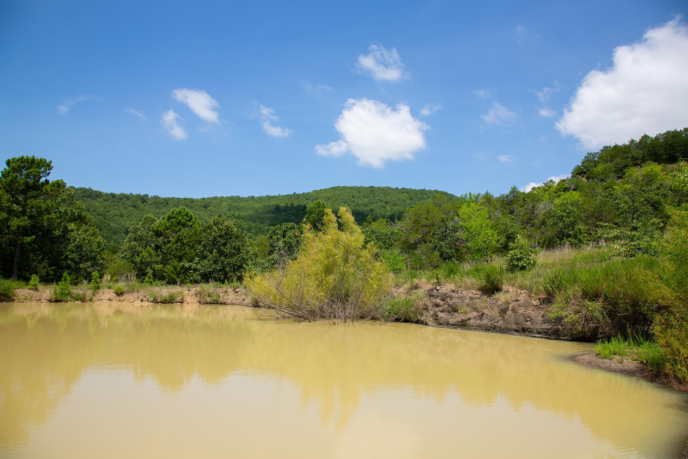 Tyler Stone Ranch Tract 79 photo 1