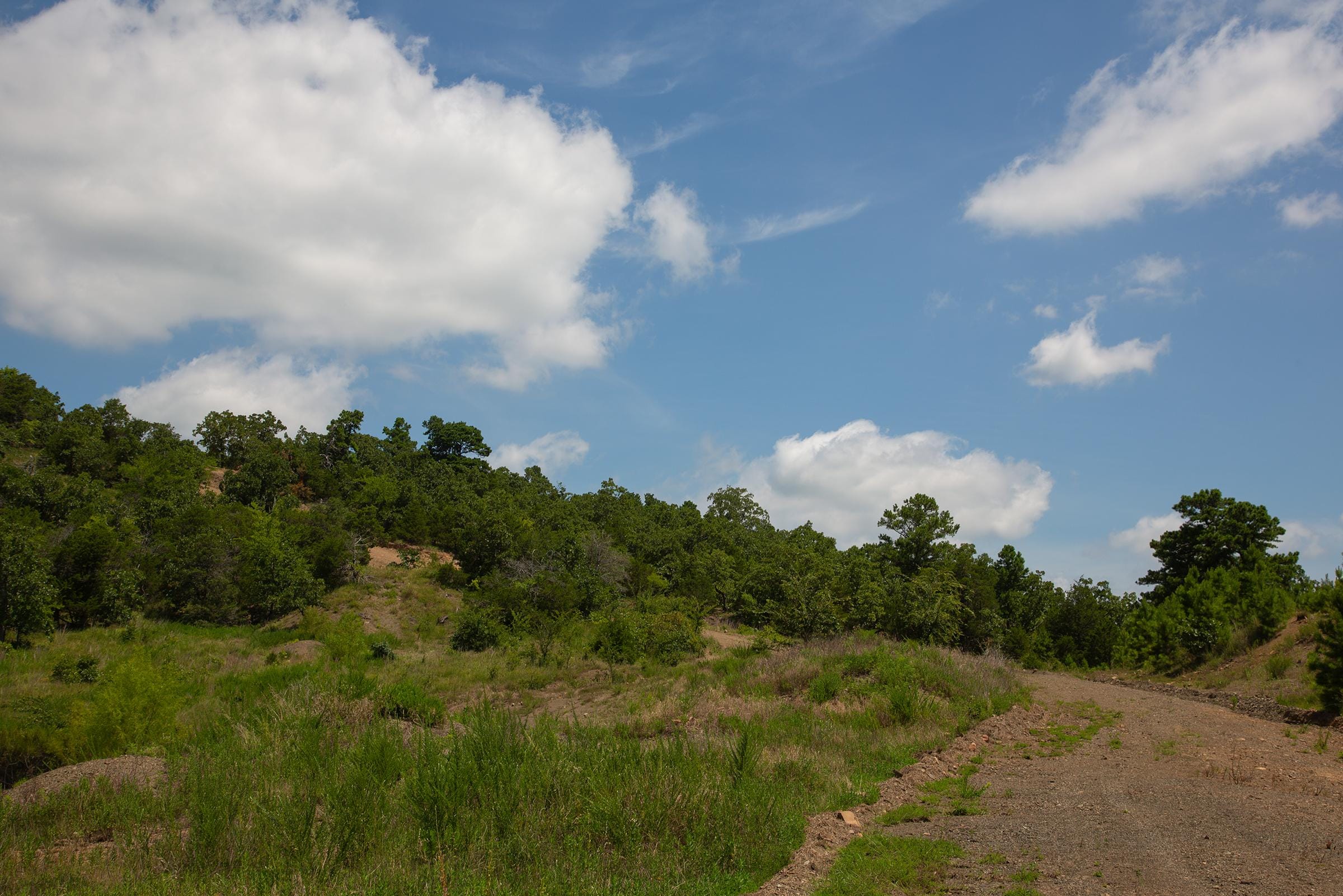 Tyler Stone Ranch Tract 79 photo 17