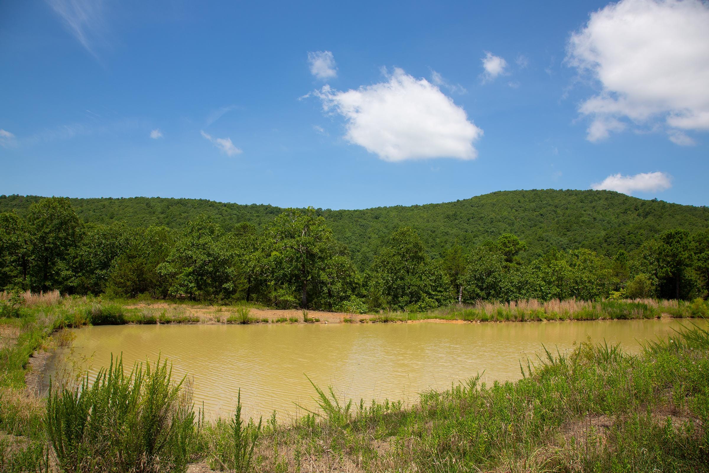 Tyler Stone Ranch Tract 79 photo 11
