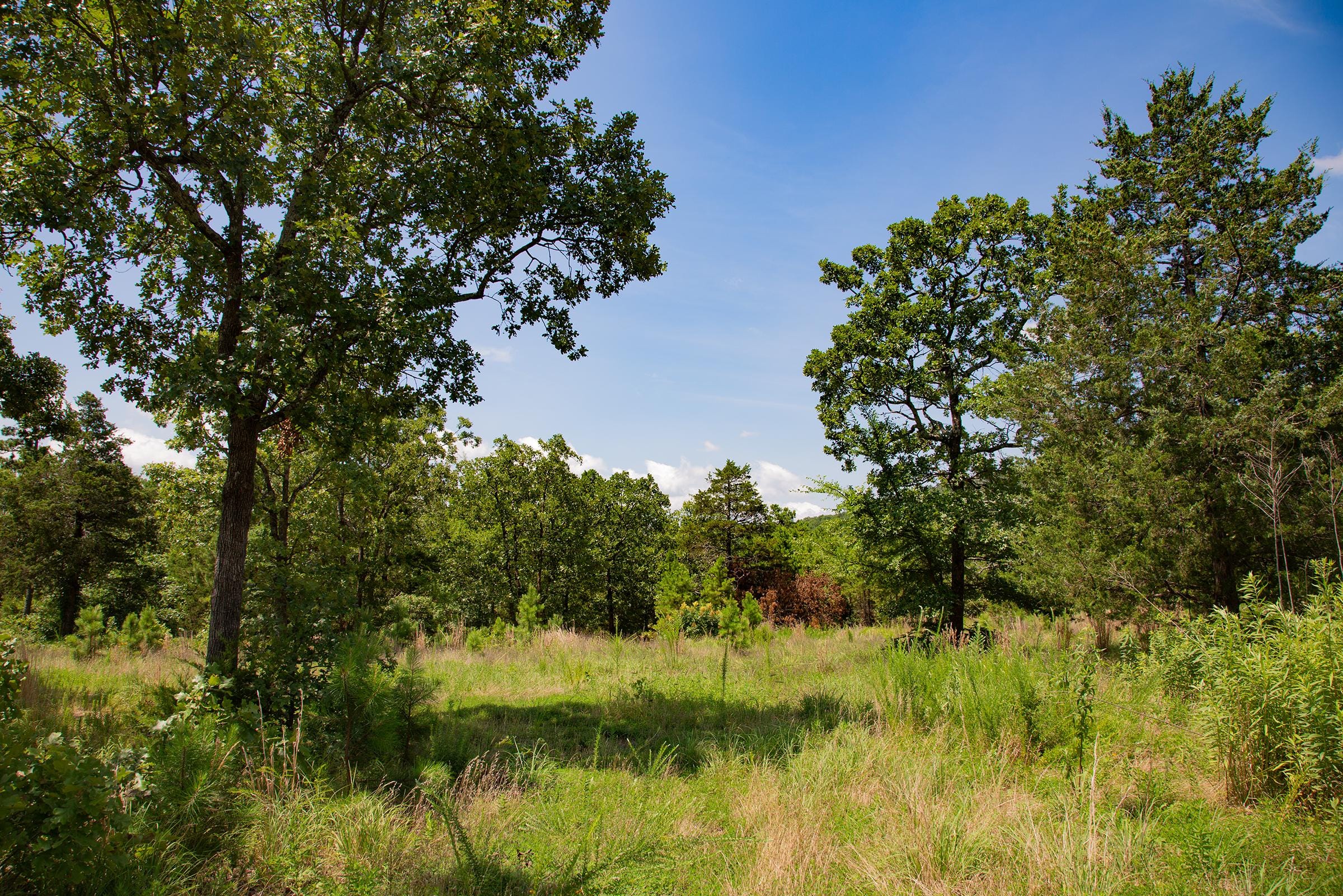 Tyler Stone Ranch Tract 79 photo 14