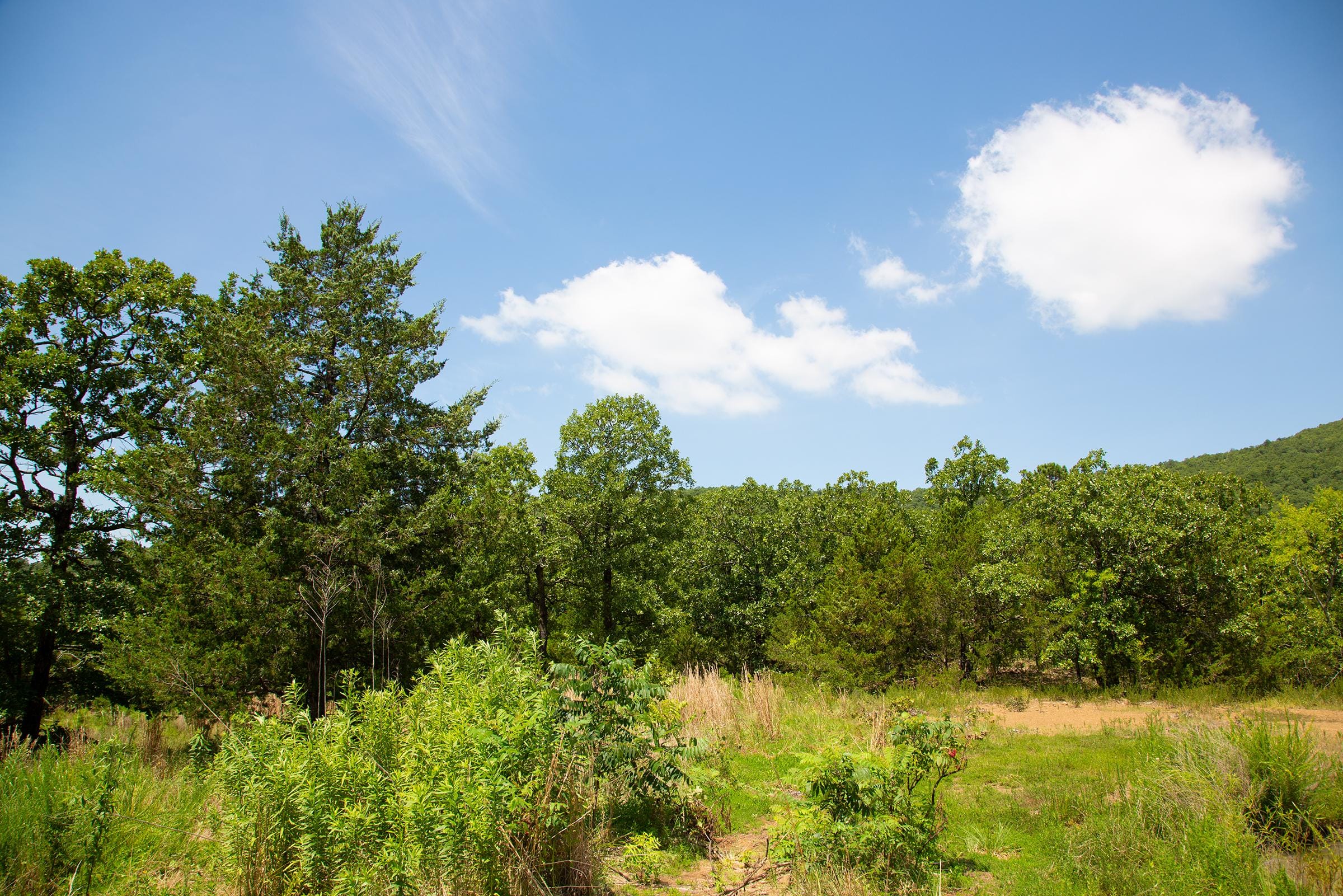 Tyler Stone Ranch Tract 79 photo 16