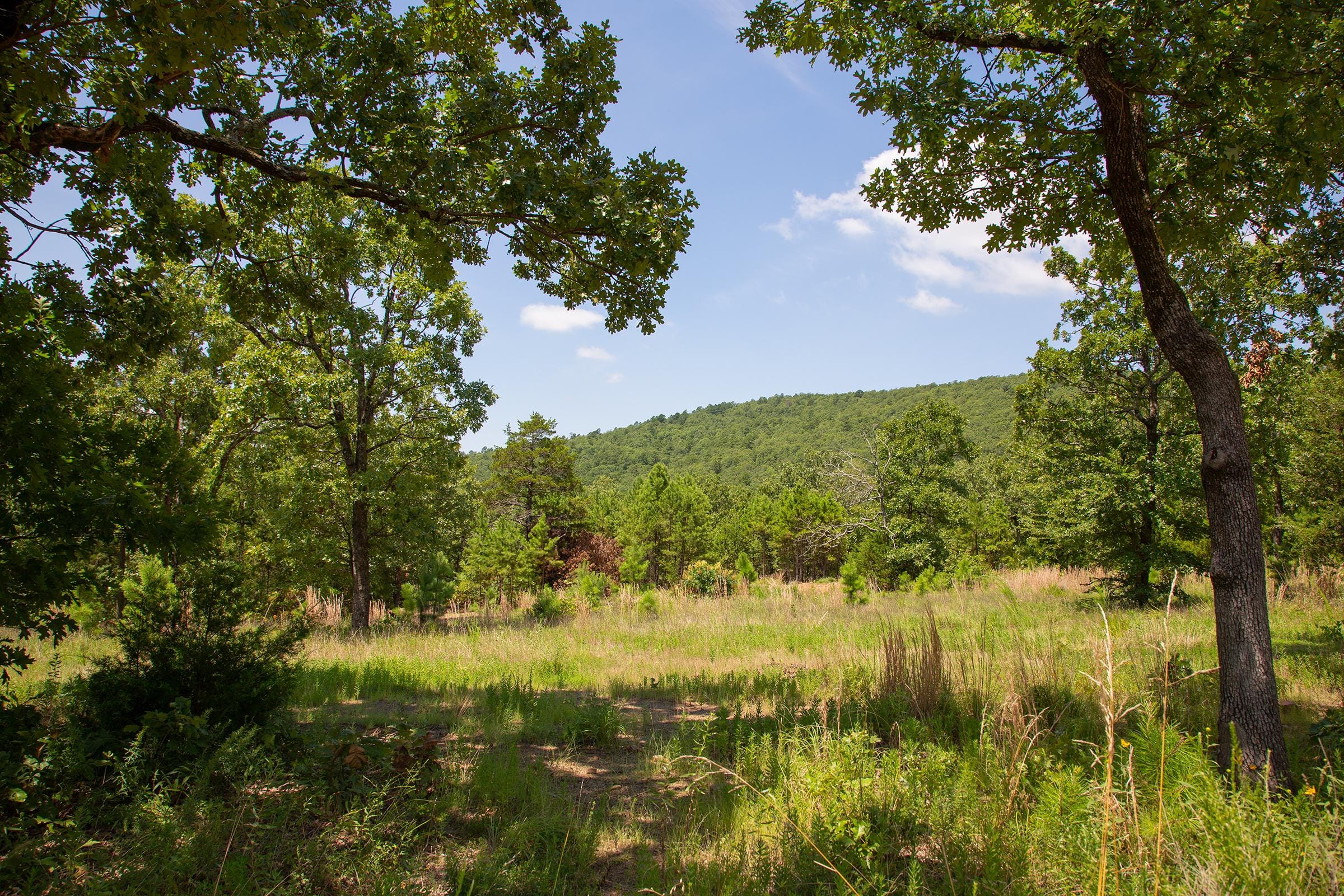 Tyler Stone Ranch Tract 79 photo 19