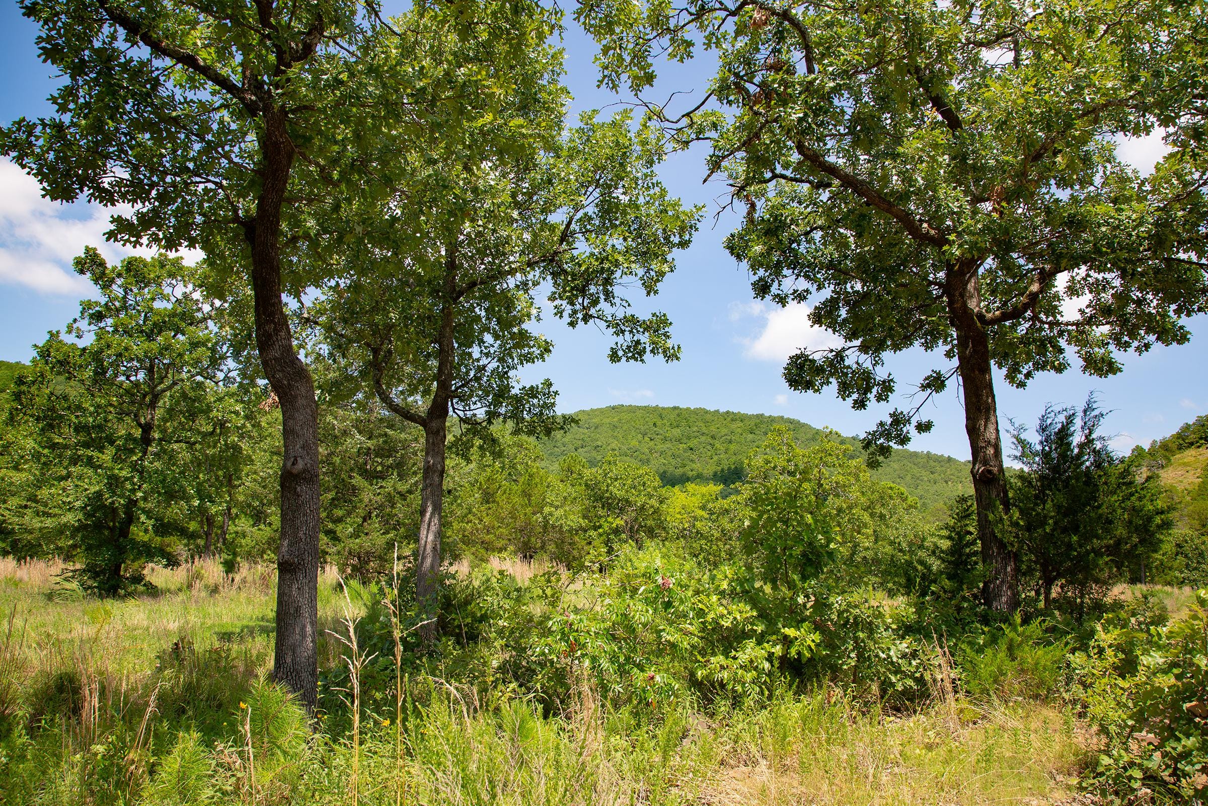 Tyler Stone Ranch Tract 79 photo 21